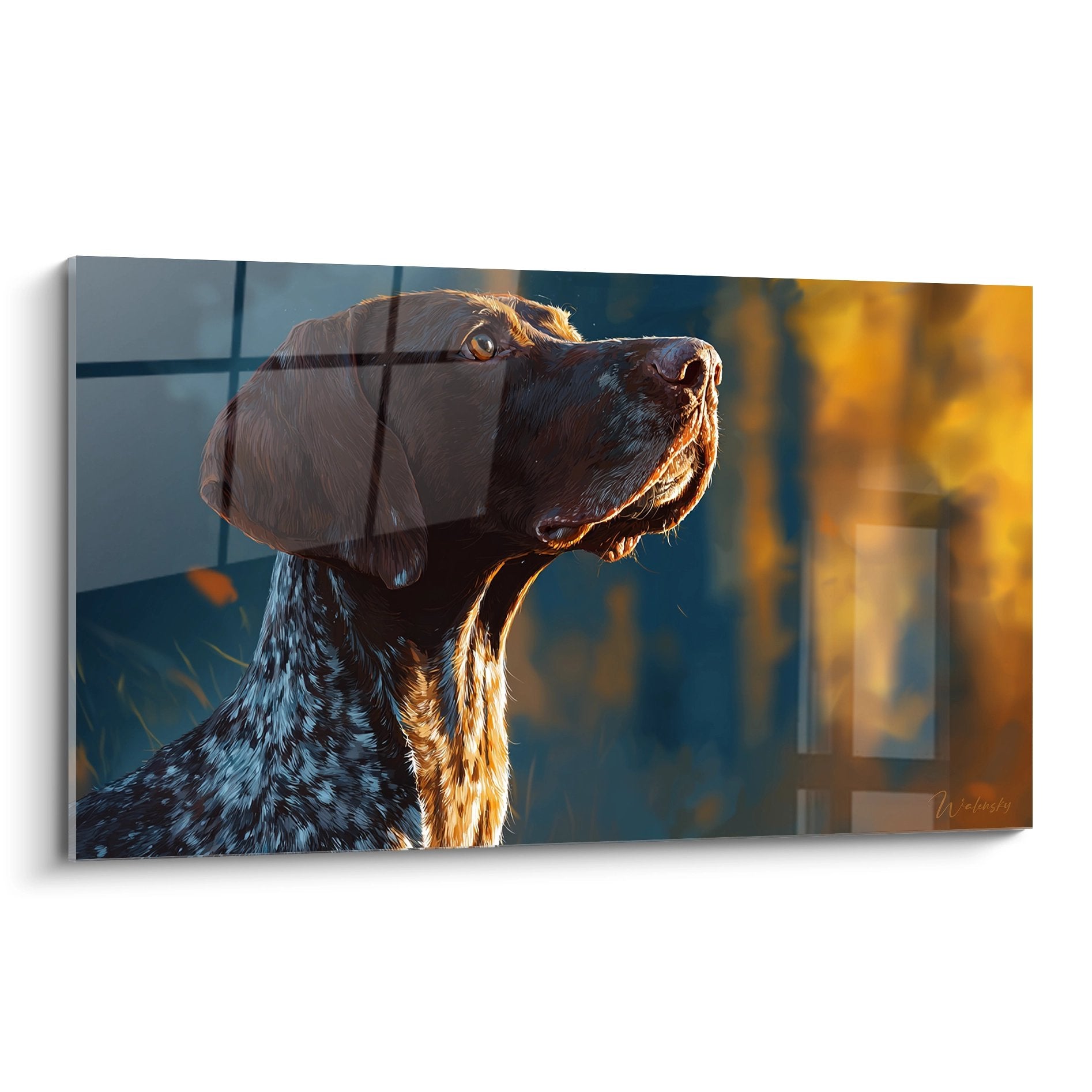 Portrait profil Braque Allemand regard levé lumière dorée pelage moucheté brun blanc tableau mural