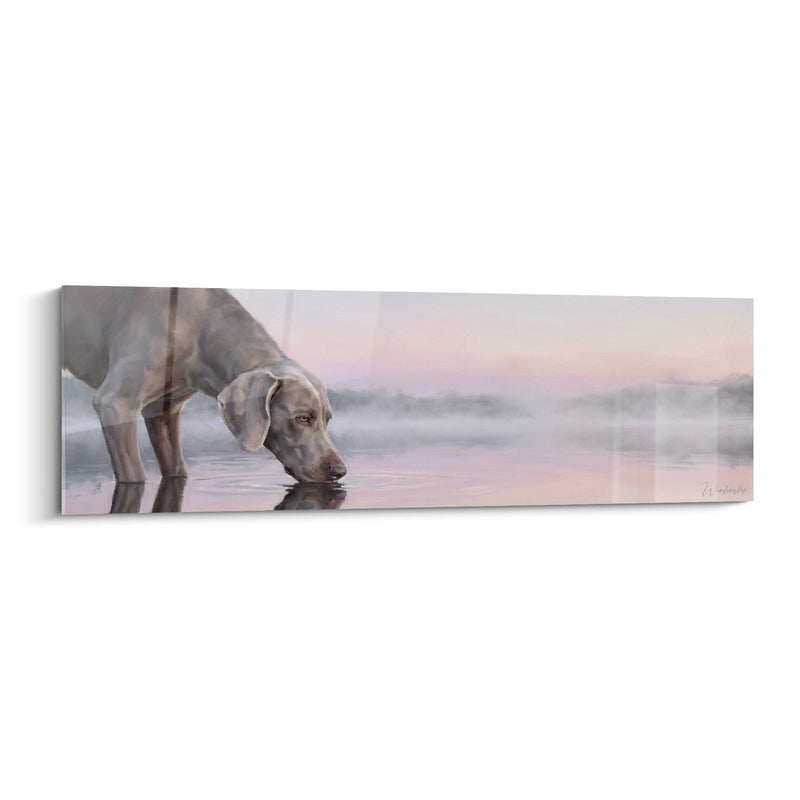 Weimaraner Pointer Drinking at the Beach at Sunset - Golden Reflections - Weimaraner Edition
