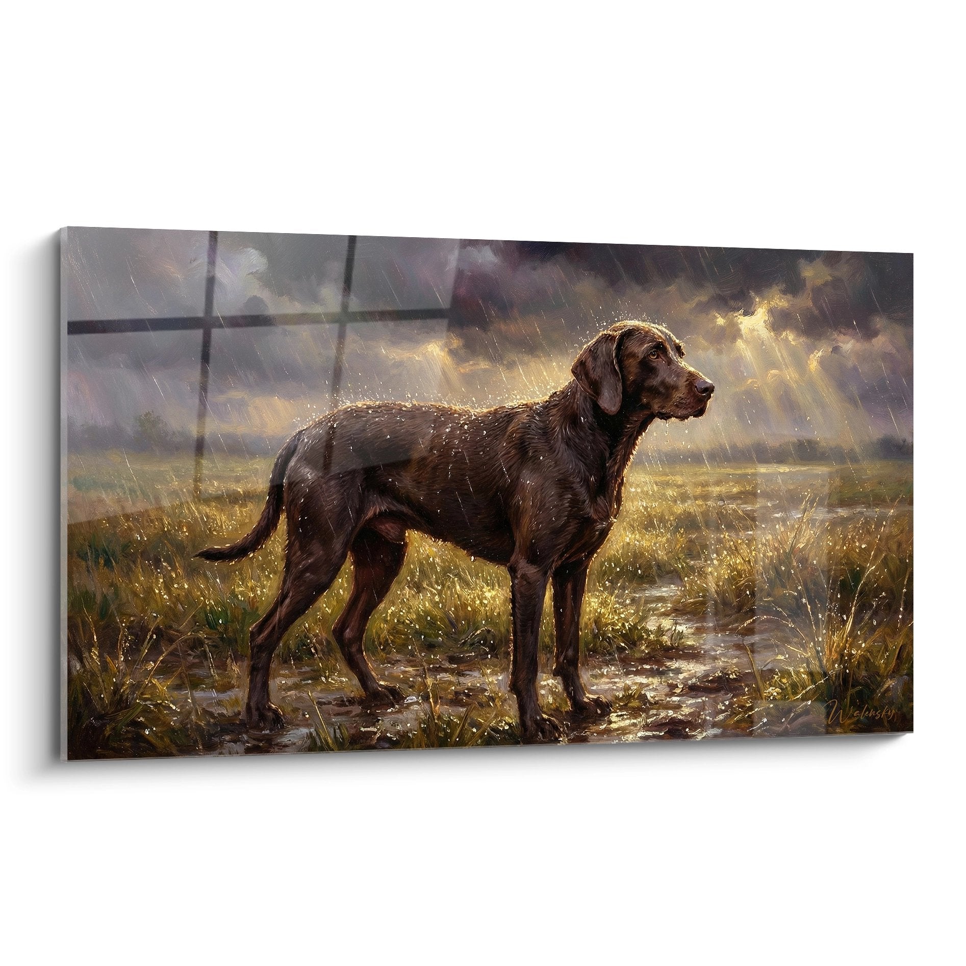 Tableau d'un Braque de Weimar chocolat sous la pluie doree dans une prairie, art canin realiste et poetique