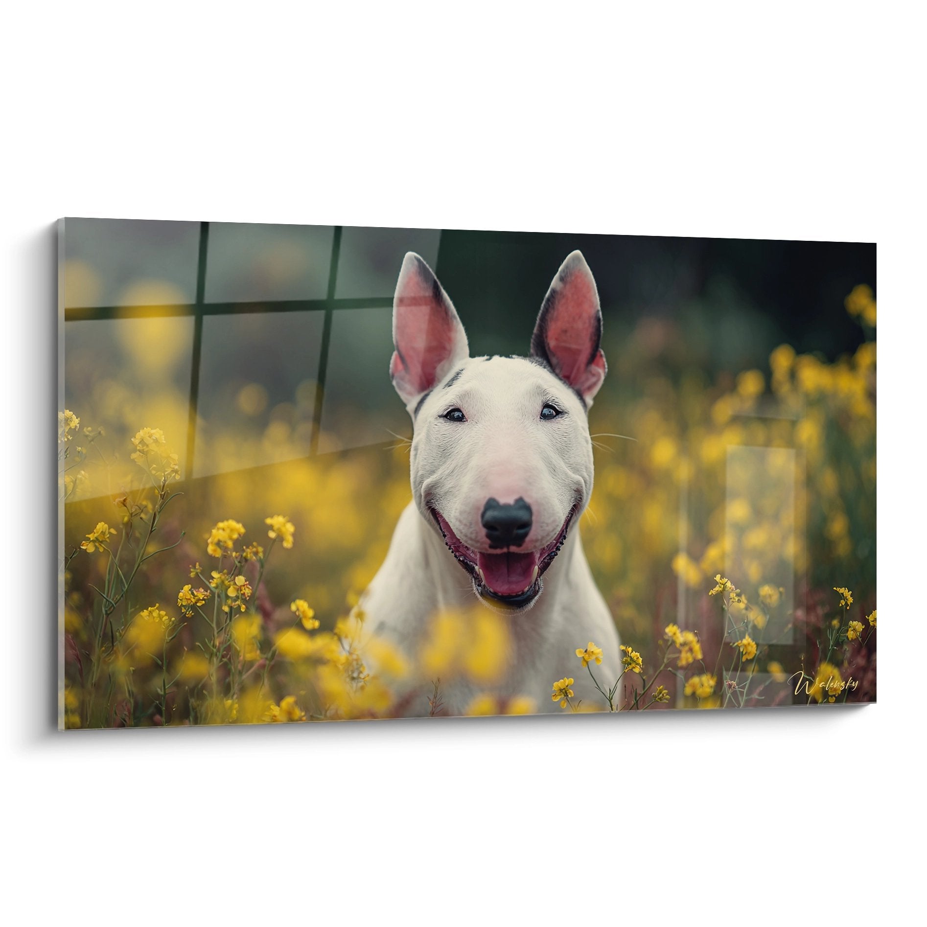 Bull terrier blanc souriant dans un champ de petites fleurs jaunes, portrait artistique lumineux