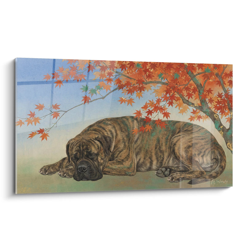 Tableau Bullmastiff Endormi sous Branche d'Érable Automnal - Repos Paisible - Edition Bullmastiff
