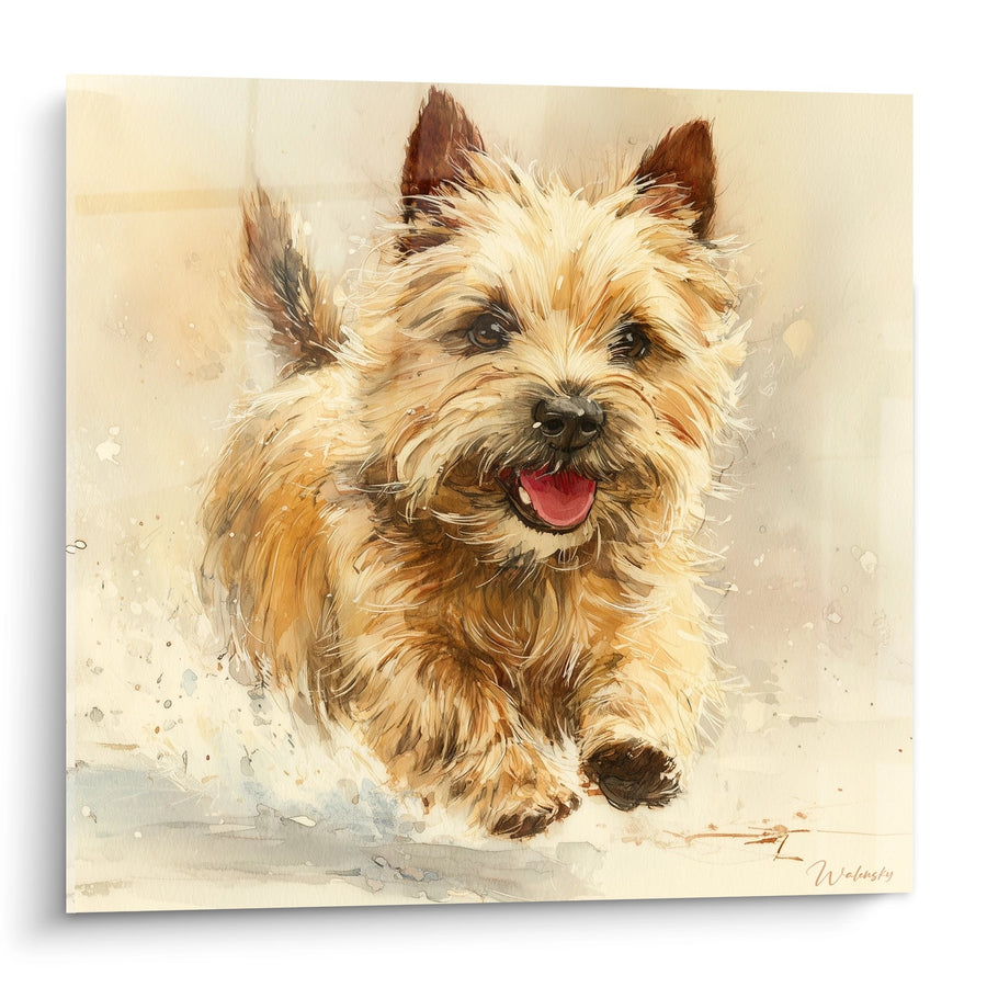 Tableau Chien Poilu en Mouvement Aquarelle Beige - Portrait Joyeux - Edition Cairn Terrier
