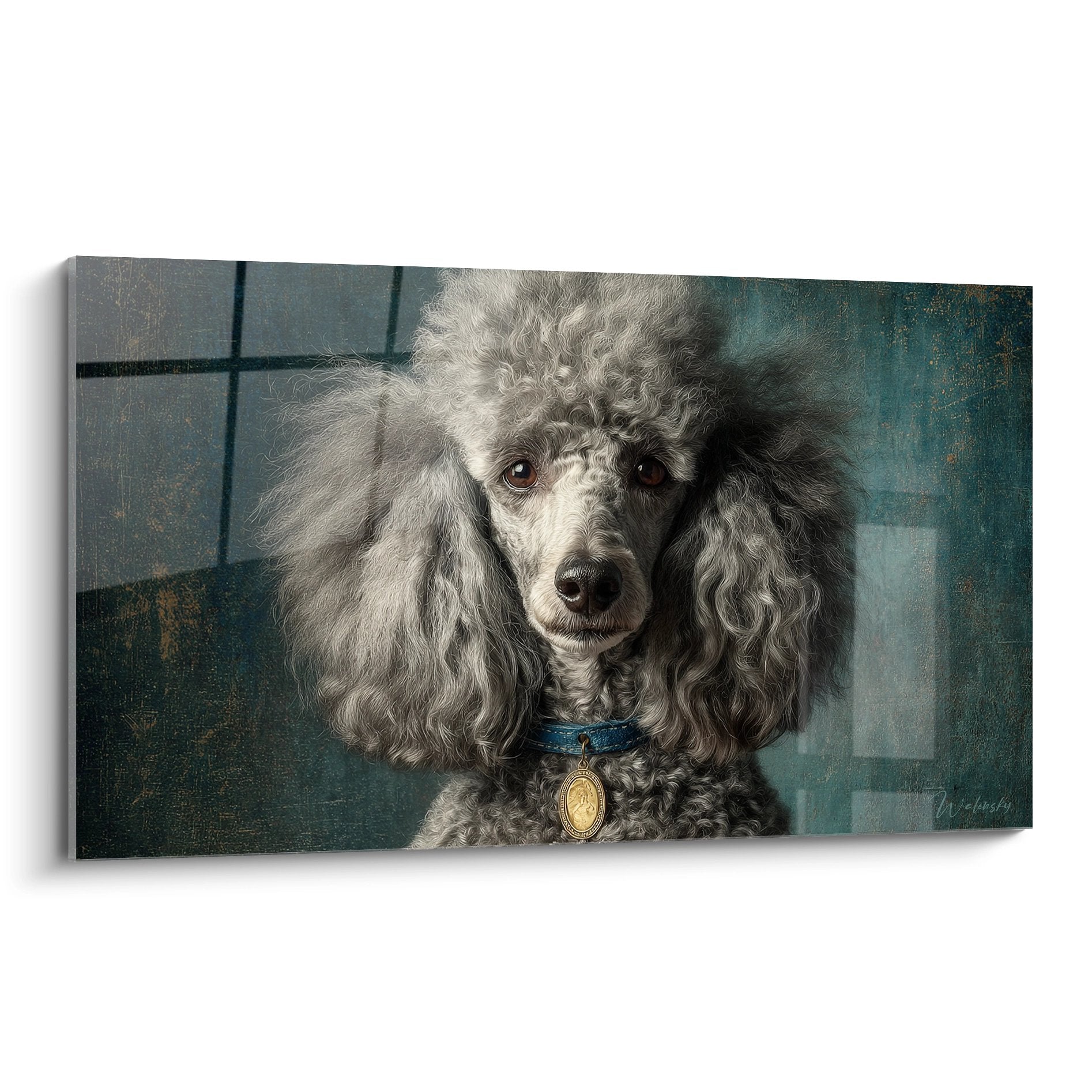 Portrait de Caniche gris aux boucles soyeuses avec collier bleu et médaillon doré sur fond turquoise patiné