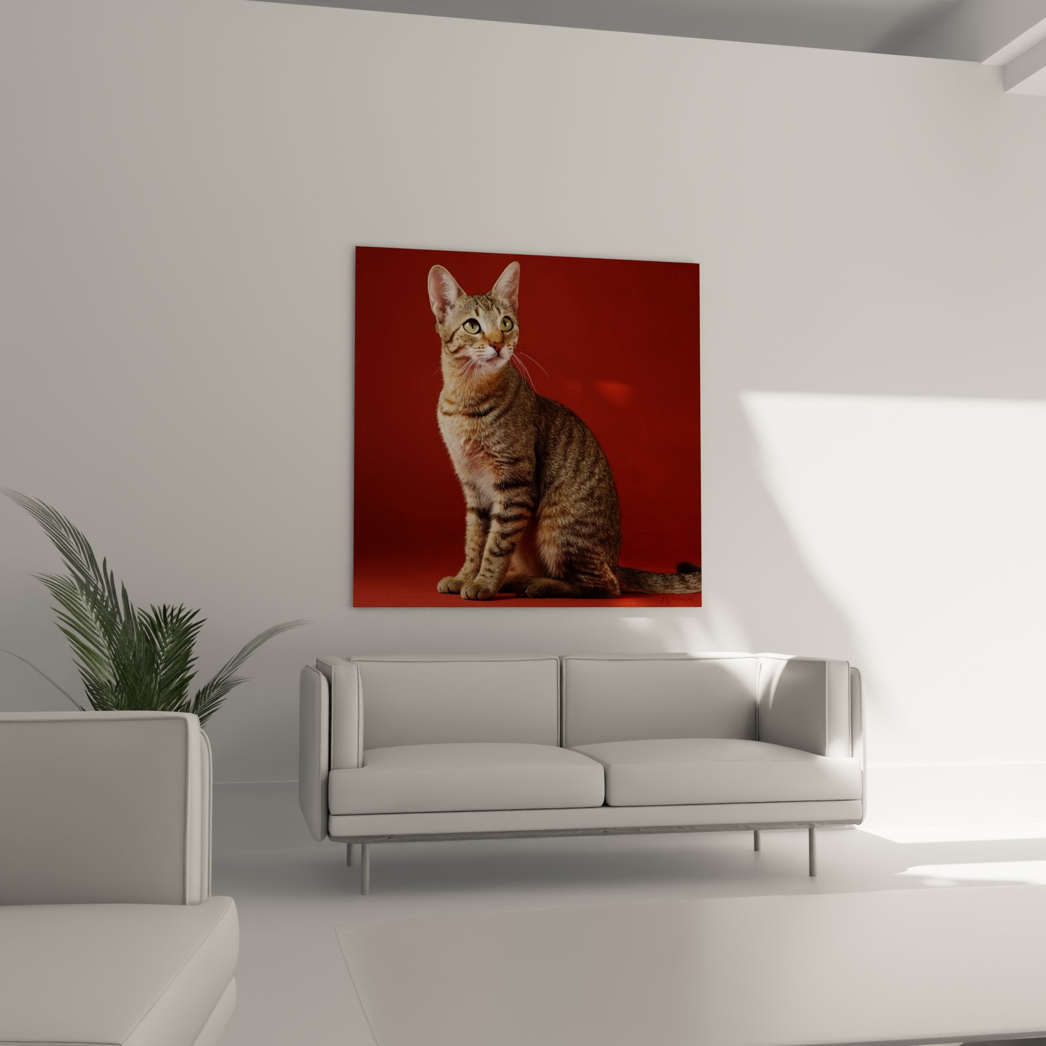 Dettaglio del quadro gatto Sokoke che mostra i particolari del mantello maculato e degli occhi verdi