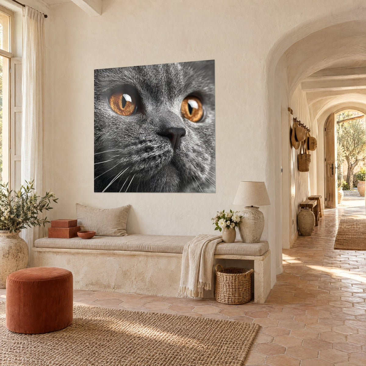 Tableau museau de chat gris bleuté et iris cuivrés, vu de trois-quarts au-dessus d'un banc en pierre, couloir voûté du mas