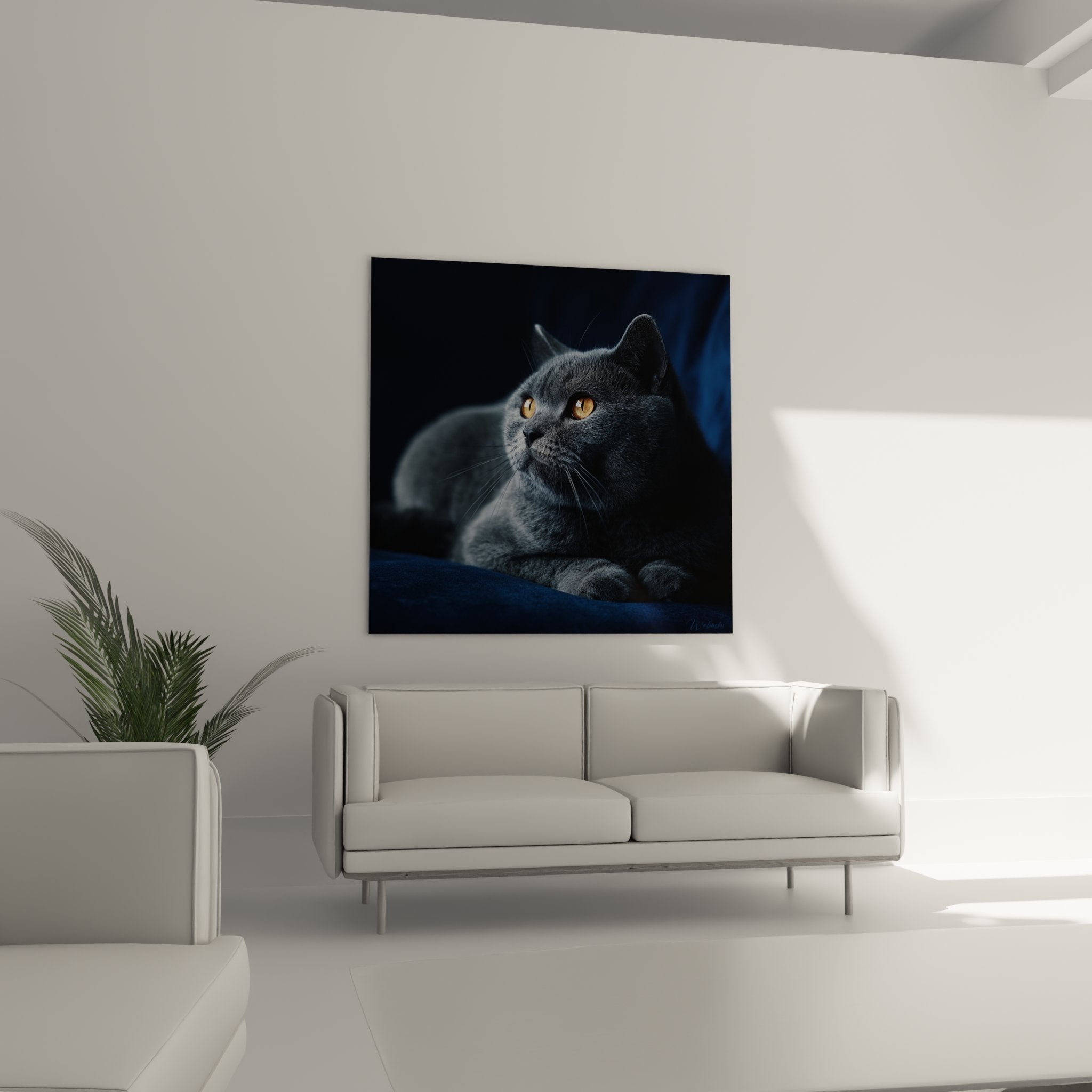 Close-up of the magnificent expressive amber eyes of a gray British Shorthair cat with dense fur