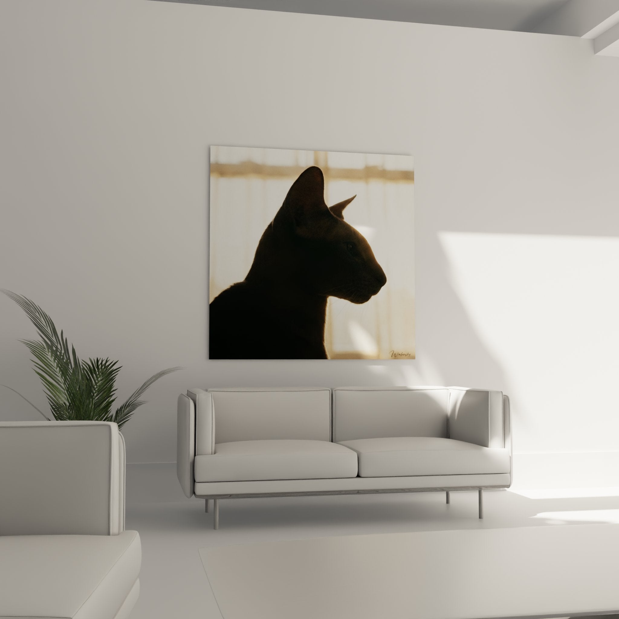 Dettaglio ravvicinato silhouette gatto Peterbald contemplativa, gioco di luce ombra quadro artistico felino