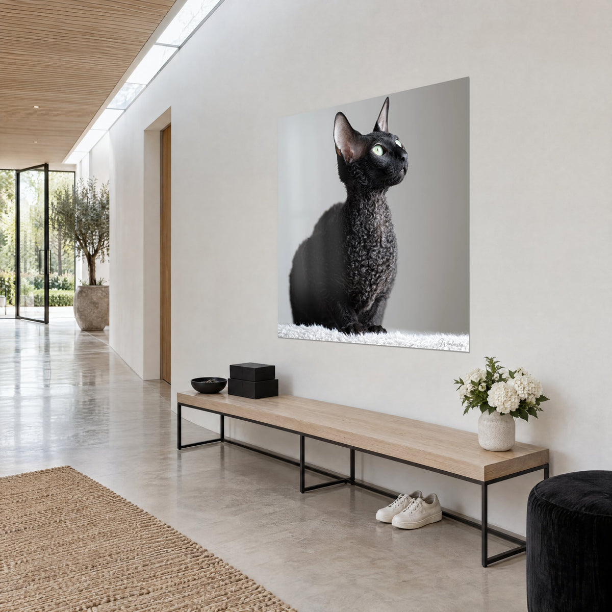 Schilderij ebbenhouten kat met strakke krullen en grote oren, groene blik, wit tapijt, driekwart aanzicht in een lichte gang