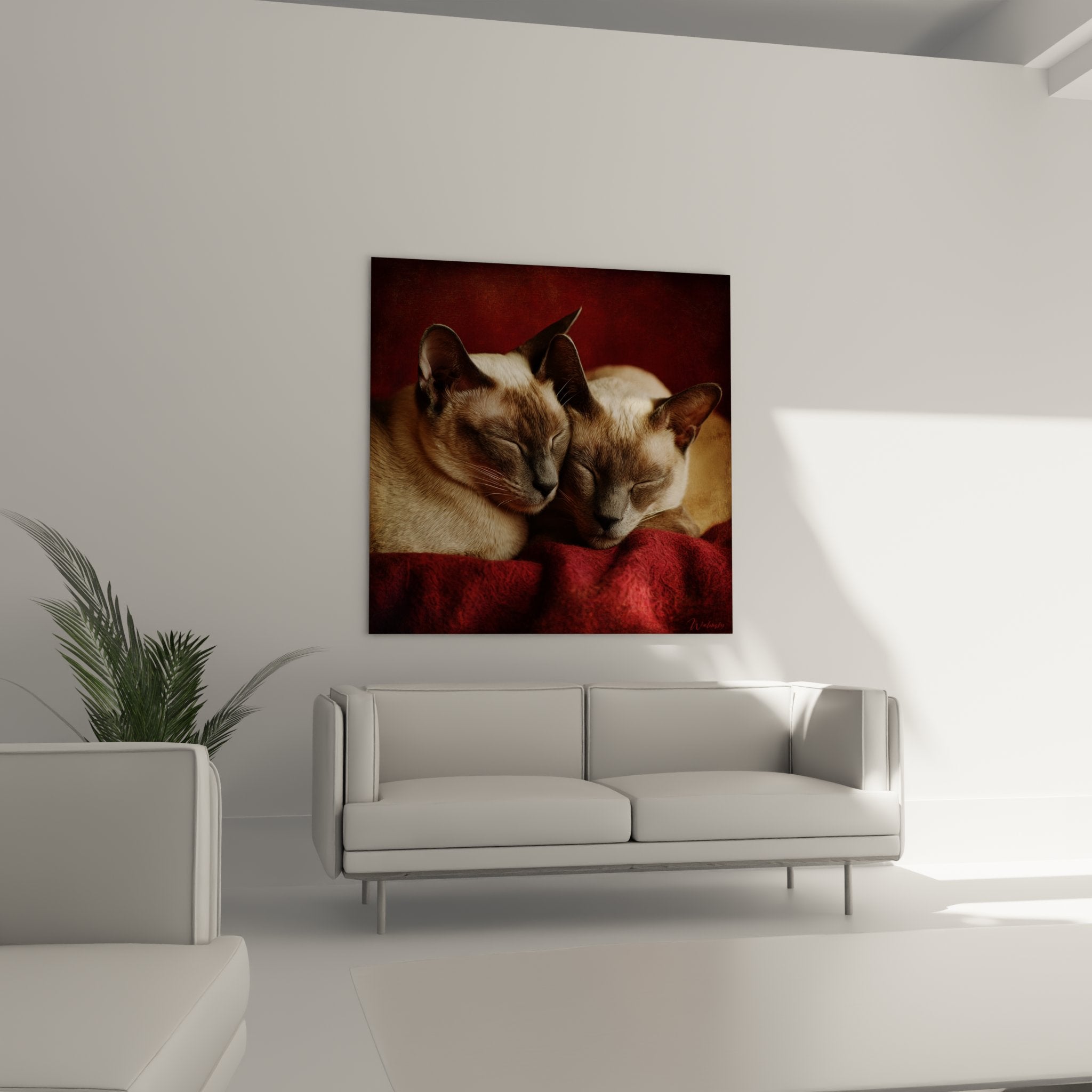 Primo piano quadro due gatti Tonkinesi complici occhi chiusi mantello beige e cioccolato resa realistica