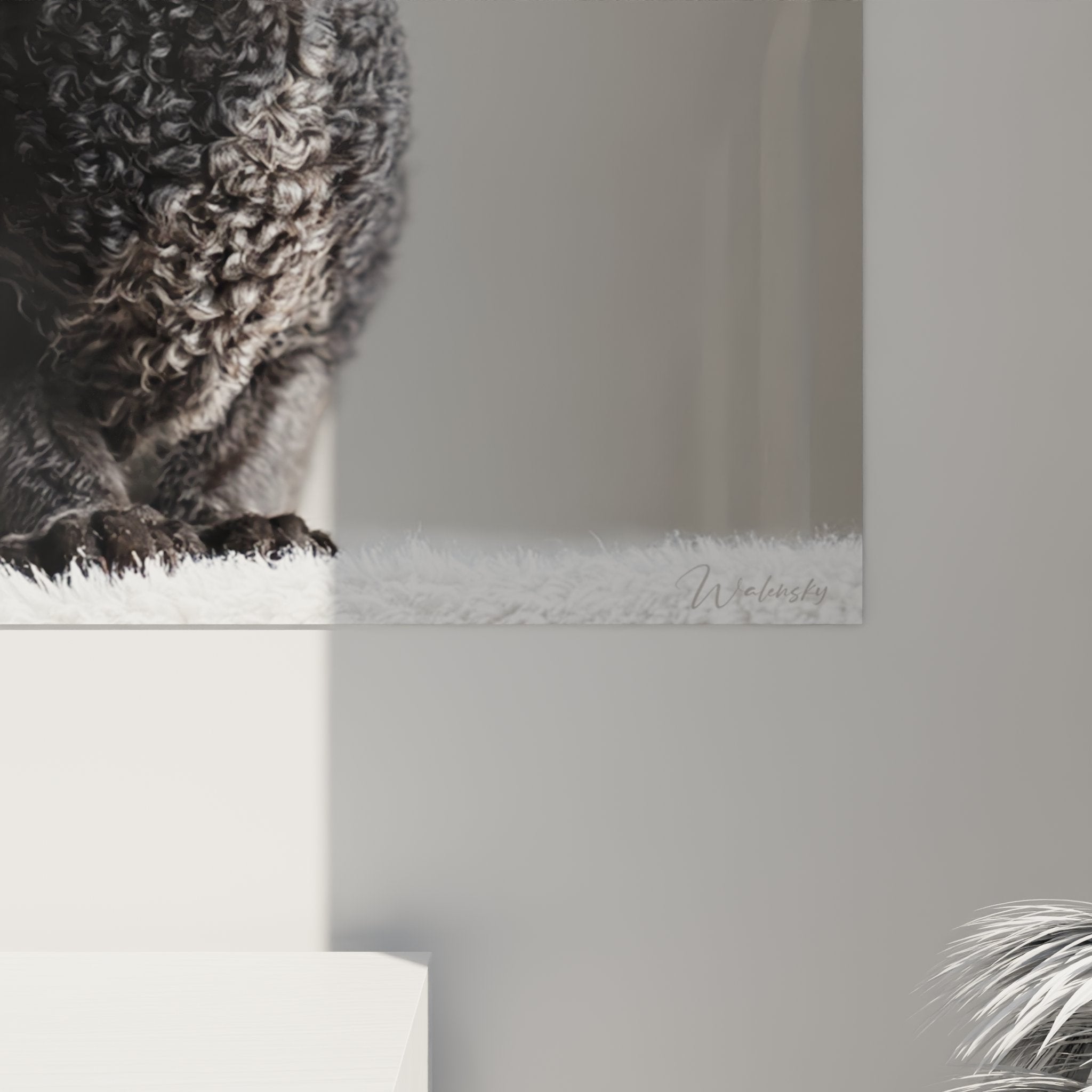 Vista d'insieme quadro murale gatto Cornish Rex nero, decorazione murale artistica soggiorno moderno