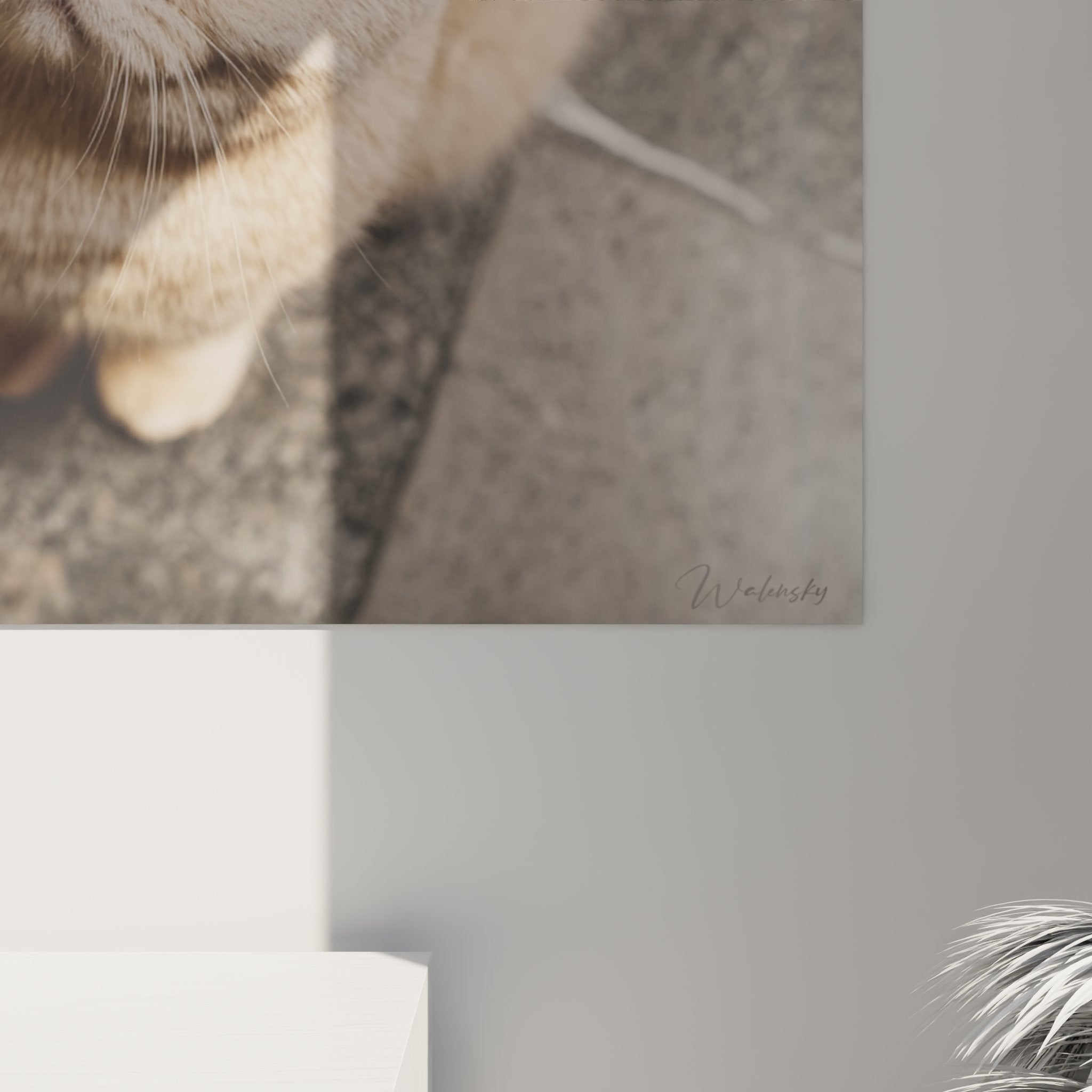 Vue d'ensemble tableau mural chat British Shorthair creme dans un salon contemporain