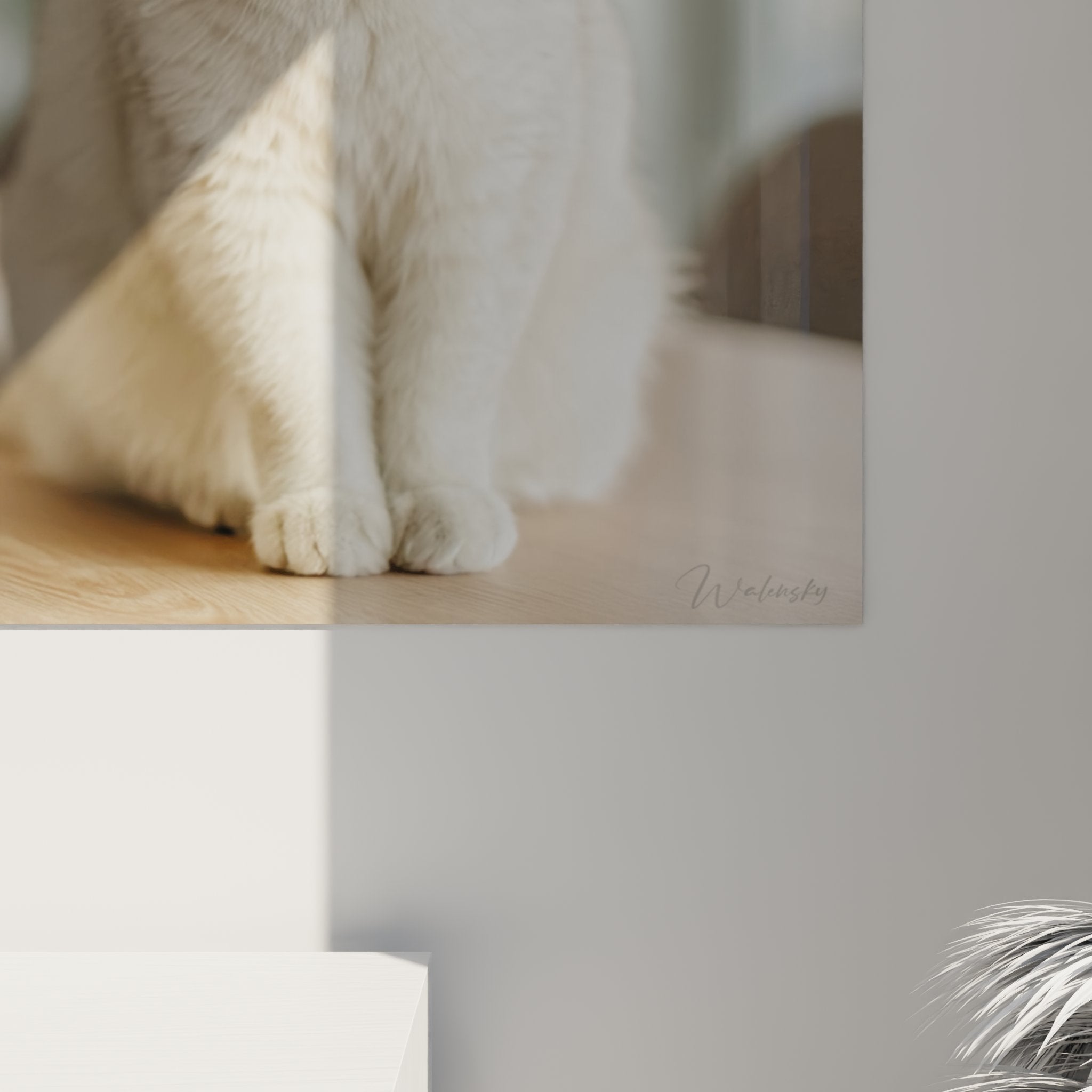 Vue ensemble tableau British Shorthair creme dans salon, decoration chat elegant aux yeux cuivres ambiance moderne