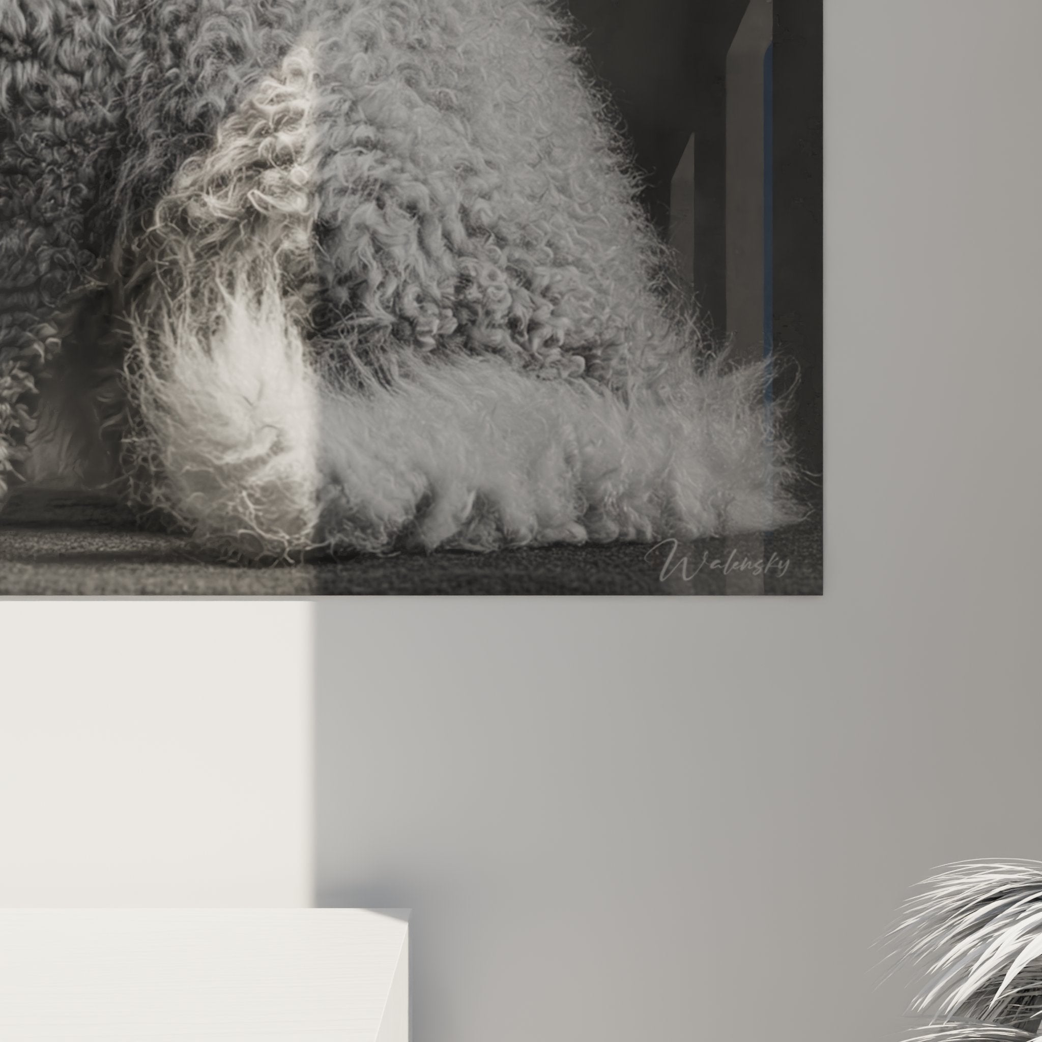 Vue d'ensemble tableau chat Selkirk Rex portrait noir blanc, decoration murale art animalier contemporain