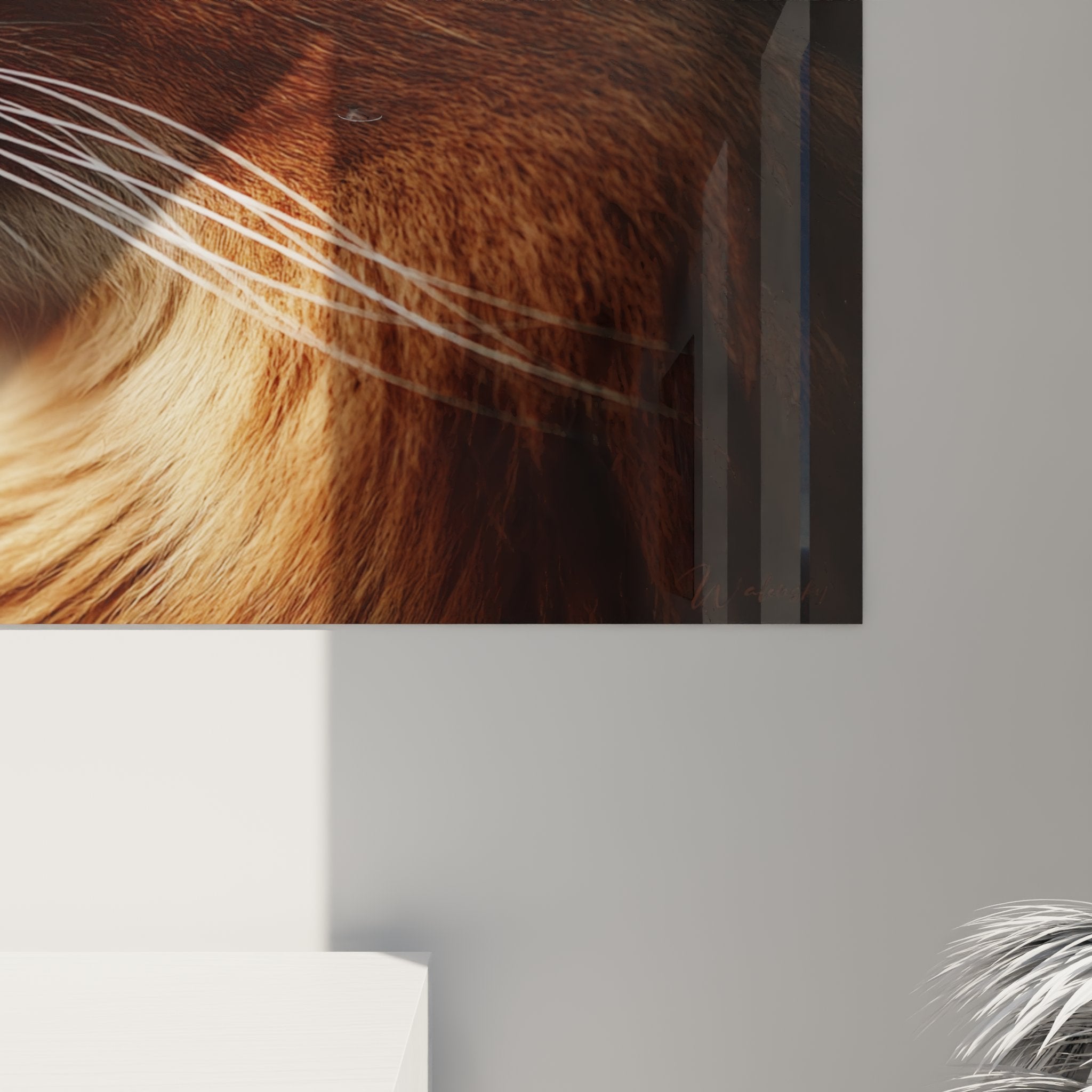 Vue d'ensemble tableau chat Somali dans salon contemporain décoration murale art animalier