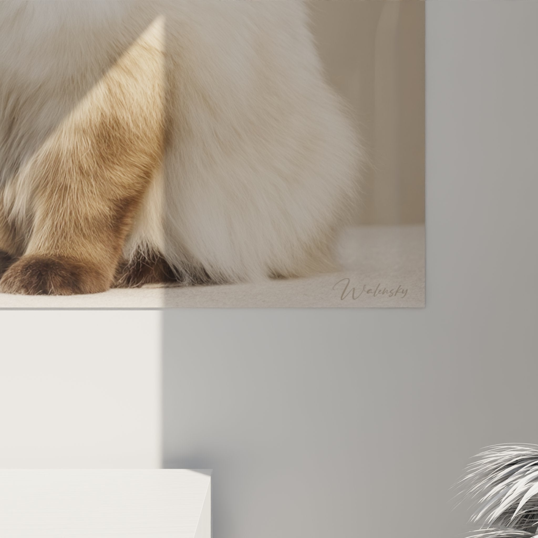 Overall view of Sacred Birman cat painting Burma in contemporary living room animal art decoration