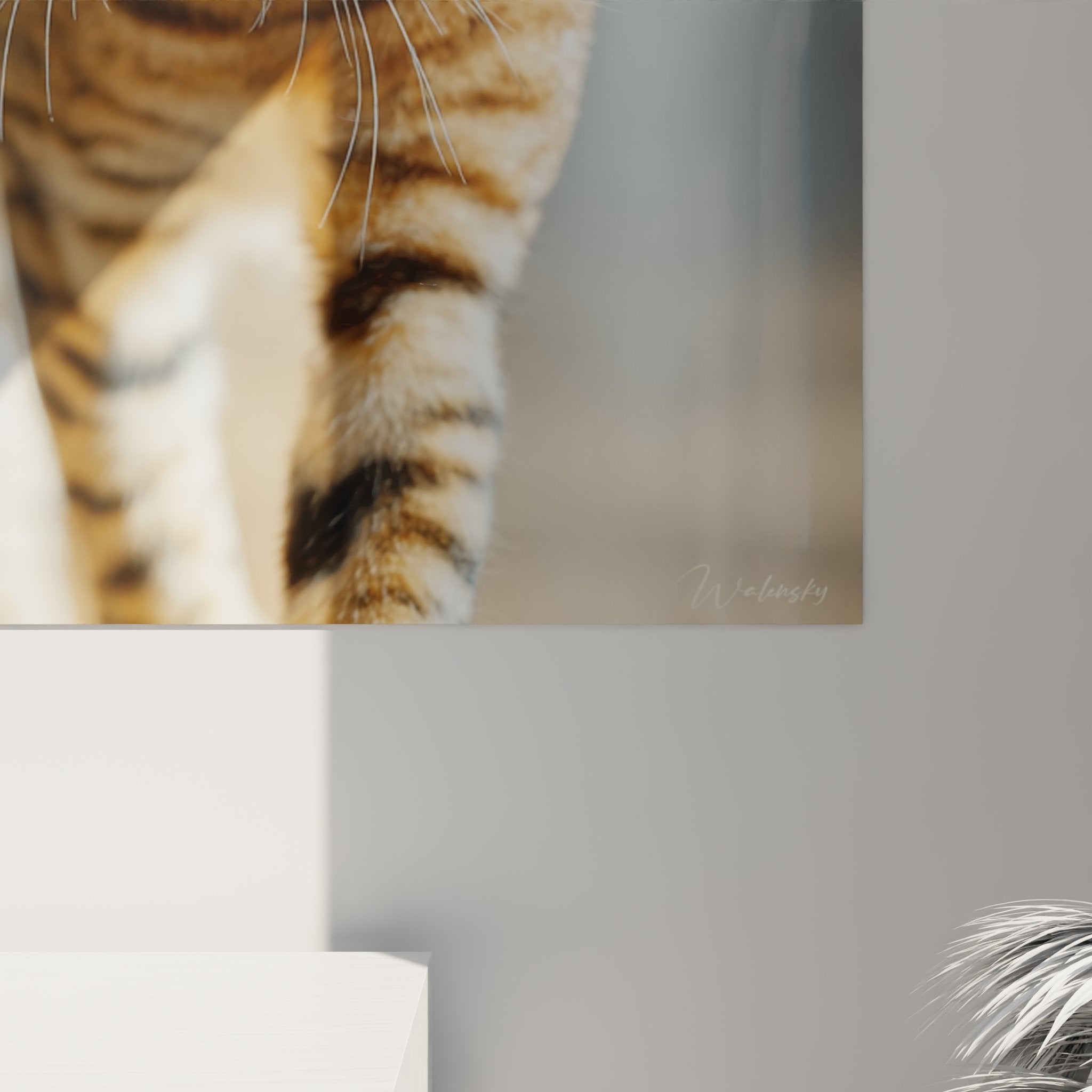 Overview of Sokoke cat wall art in contemporary living room, sophisticated animal art