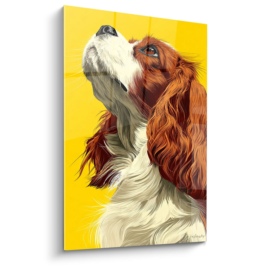Tableau Cavalier King Charles Roux et Blanc Levant les Yeux - Regard Attendri - Edition Tableau Cavalier King Charles