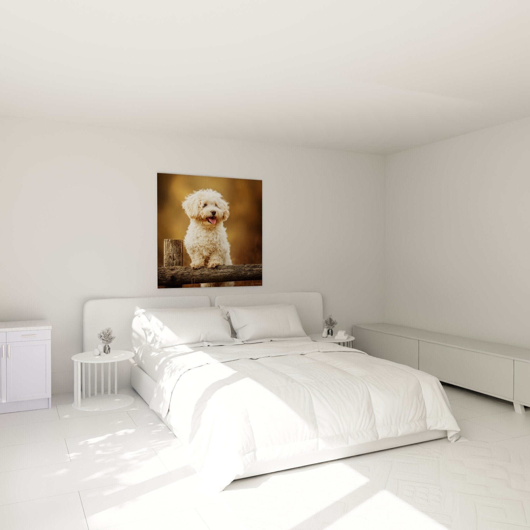 Decoration chambre avec portrait Bichon Havanais tons beiges ambiance chaleureuse mur blanc