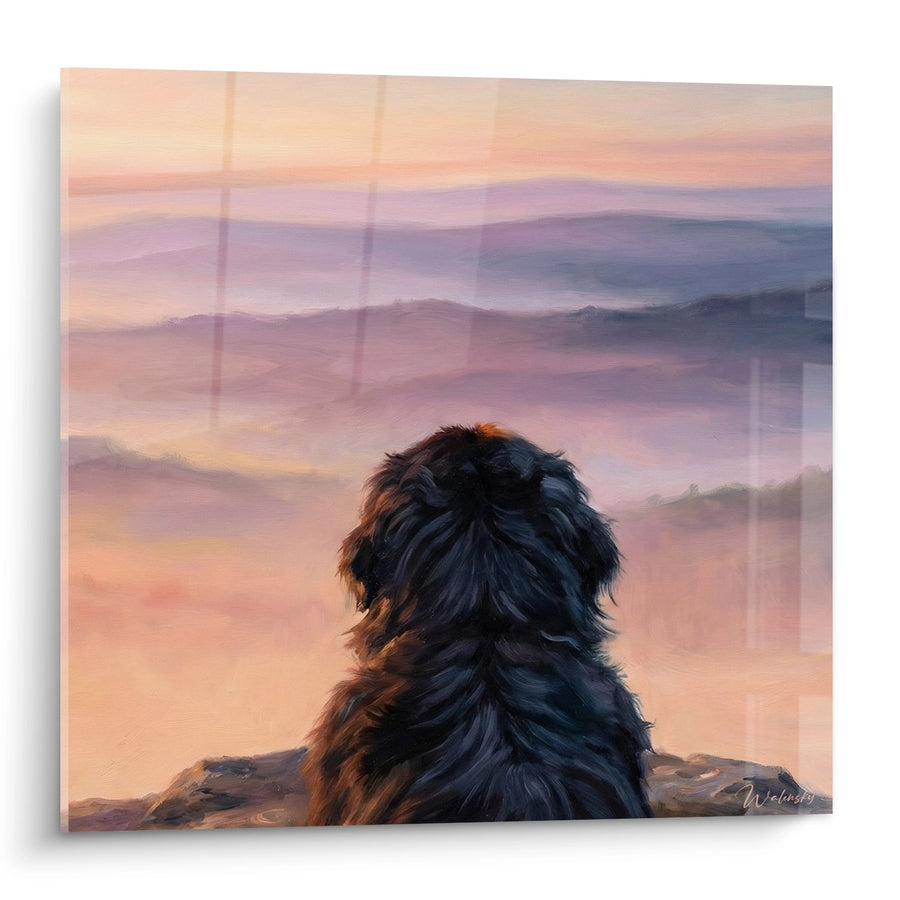 Tableau Chien Noir Contemplatif devant Paysage Brumeux au Coucher de Soleil - Rêverie Canine - Edition Terre Neuve