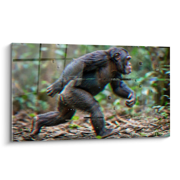 Schilderij van een Rennen Chimpanzee met Kleurrijke Glitch Effecten - Digitale Energie - Chimpanzee Editie