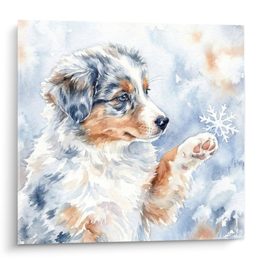 Tableau Chiot Berger Australien Miniature Jouant avec Flocon de Neige - Tendresse Hivernale - Edition Berger Americain Miniature
