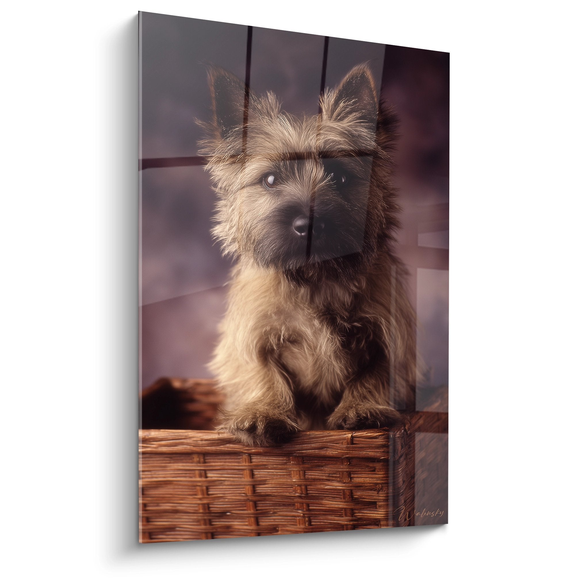 Chiot Cairn Terrier aux yeux vifs dans panier d'osier, portrait tendre sur fond poudr