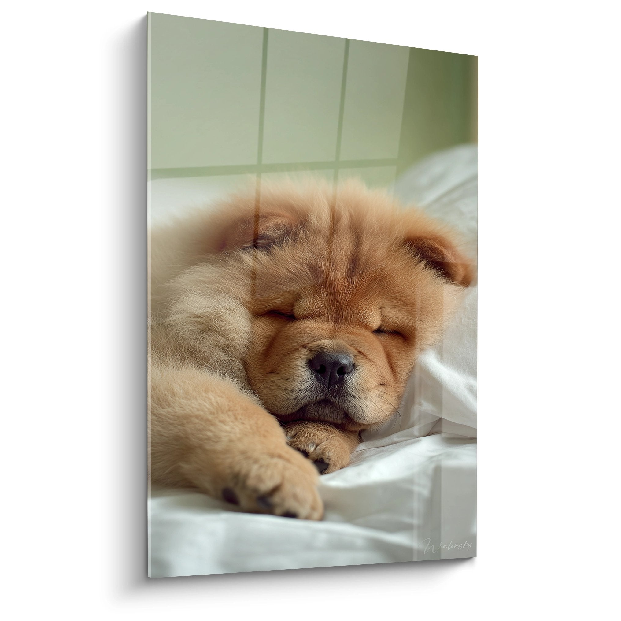 Chiot Chow Chow endormi paisiblement dans un lit douillet aux draps blancs, pelage fauve doré