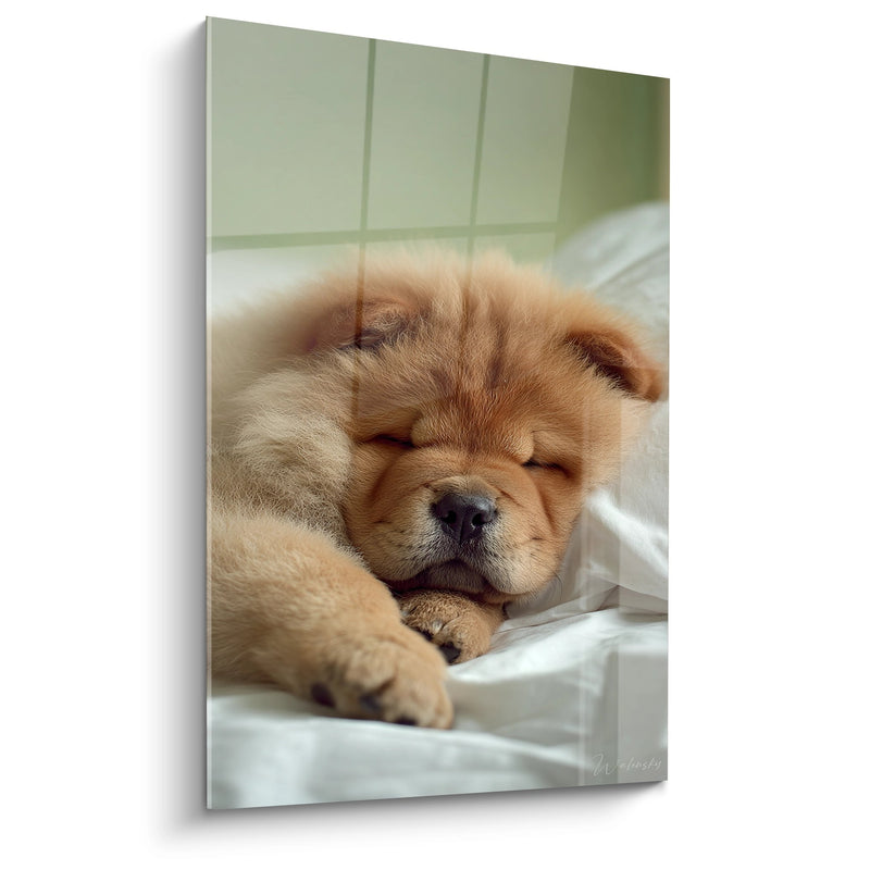 Quadro Cucciolo Chow Chow Addormentato in un Letto Accogliente - Tenerezza Infinita - Edizione Chow Chow
