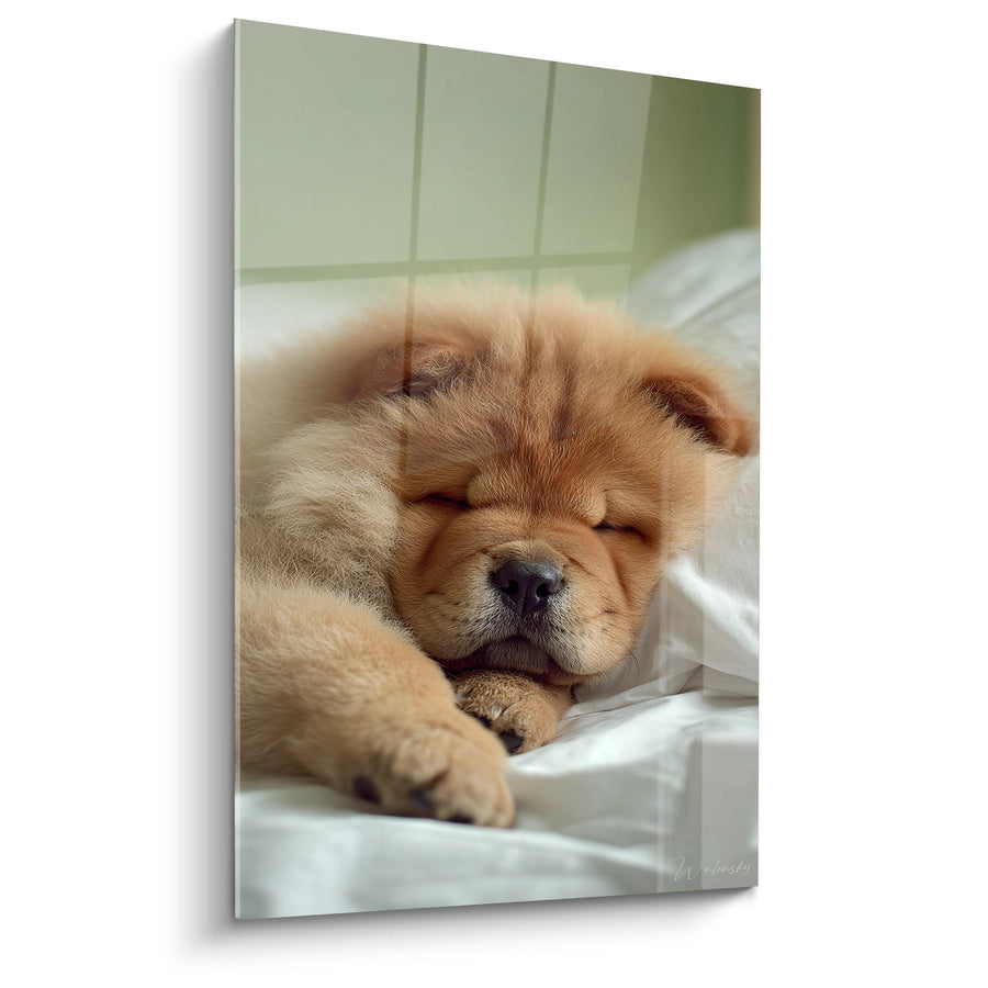Tableau Chiot Chow Chow Endormi dans un Lit Douillet - Tendresse Infinie - Edition Chow Chow