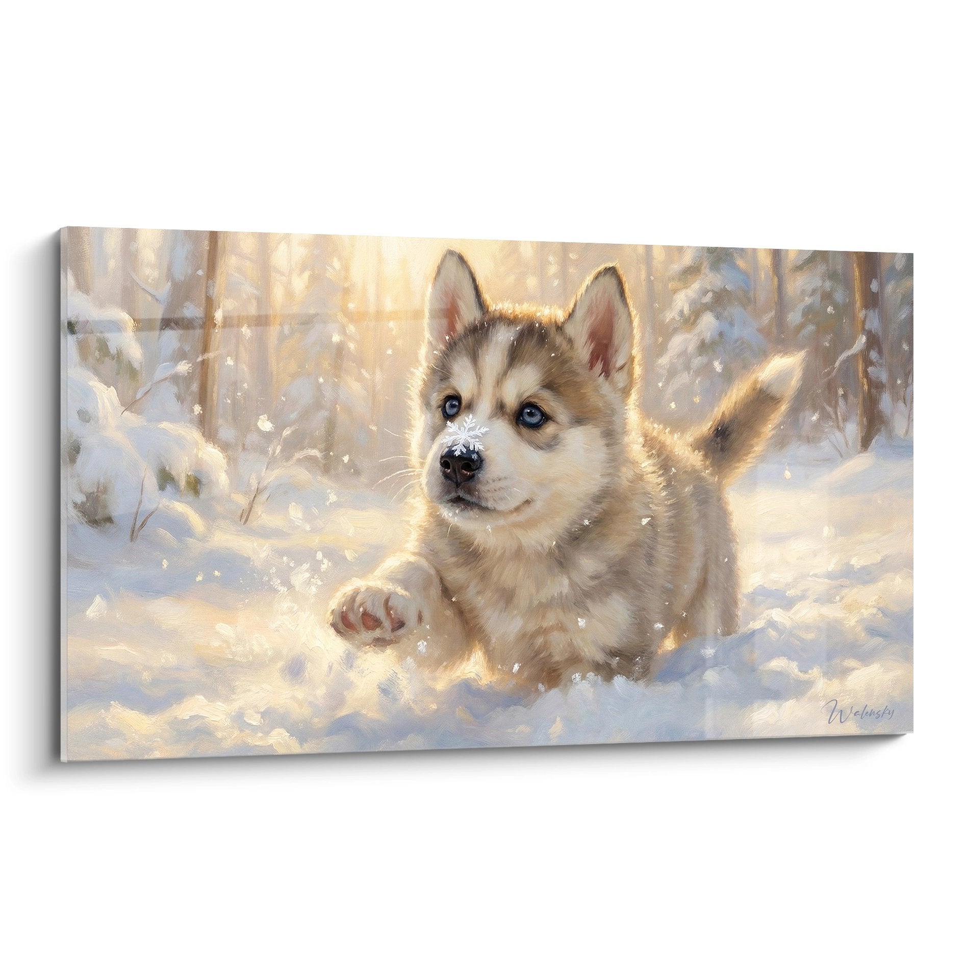 Tableau chiot husky siberien yeux bleus jouant dans neige doree lumiere chaude hiver