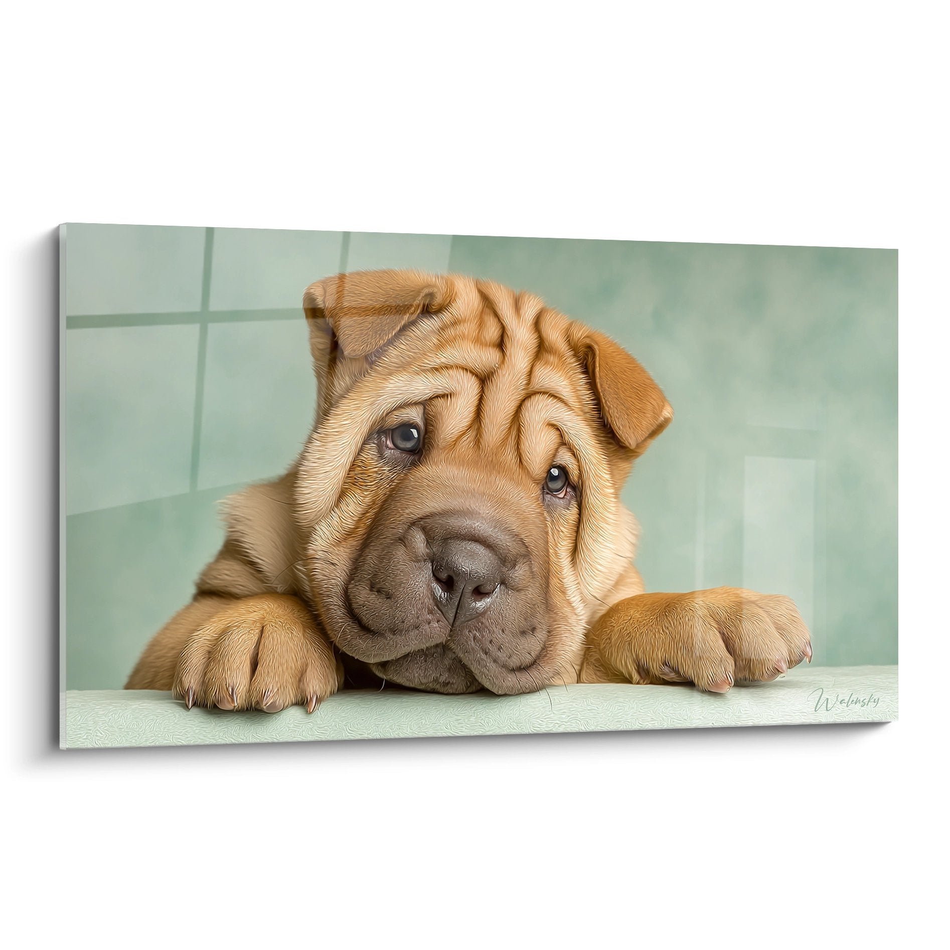 Chiot Shar Pei fauve aux yeux tendres posé dans salle de bain carrelée verte, regard implorant et émouvant
