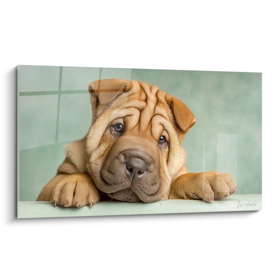 Tableau Chiot Fauve aux Yeux Tendres dans Salle de Bain - Douceur Canine - Edition Shar Pei
