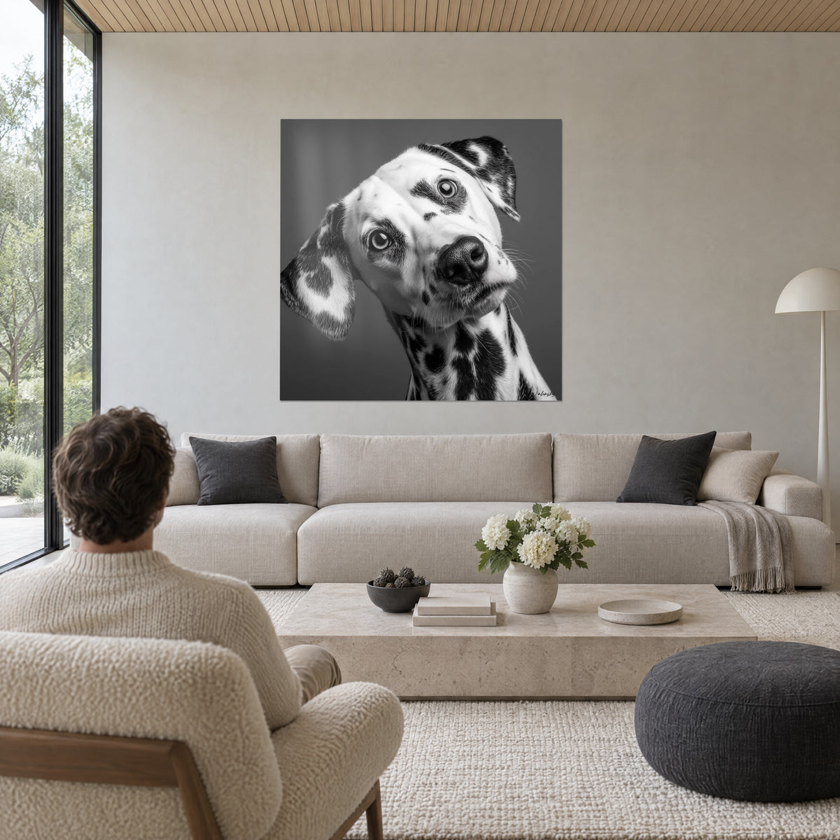 Quadro dalmata dalla testa inclinata, manto bianco macchiato di nero su fondo grigio, sopra un divano in un soggiorno luminoso