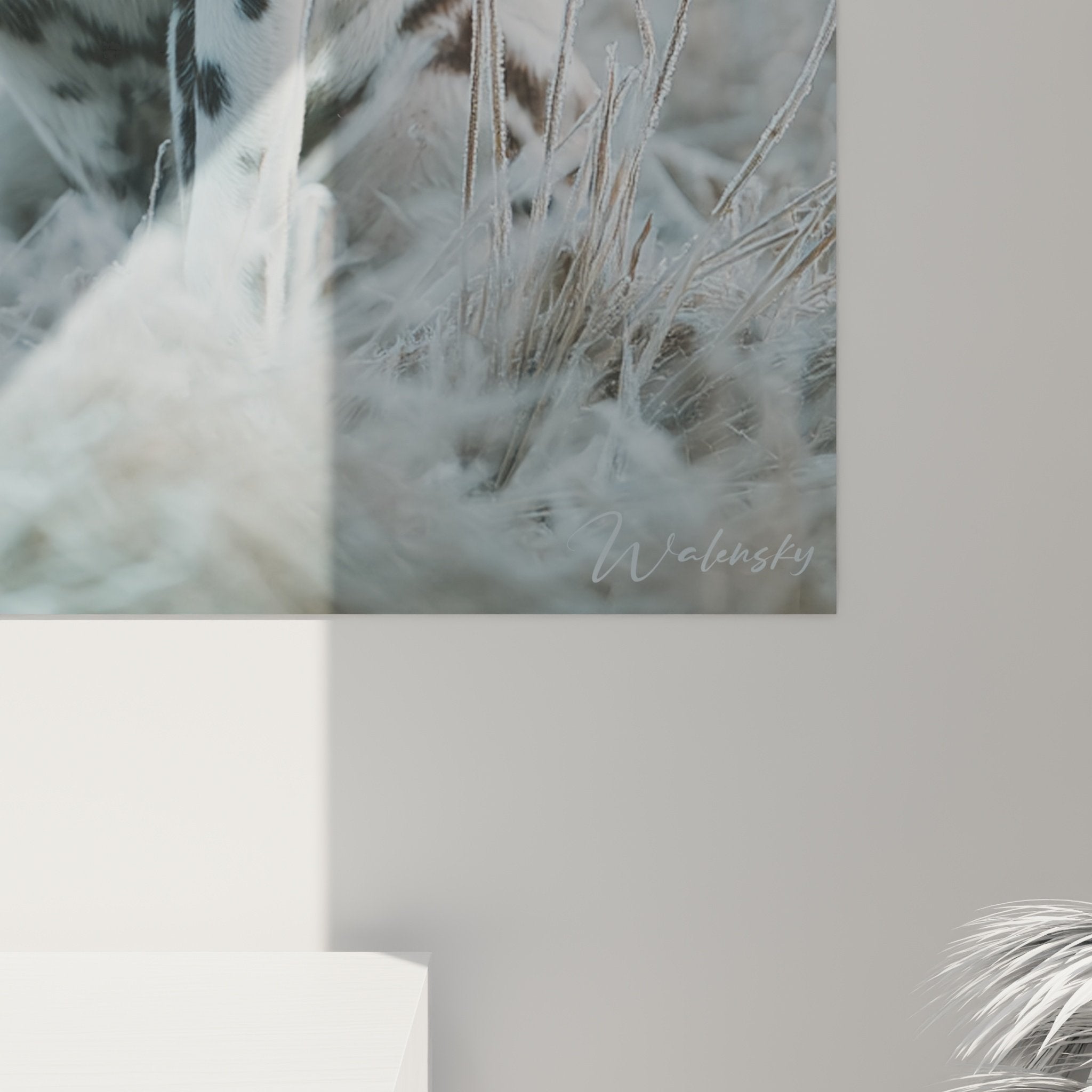 Übersicht des dalmatinischen Gemäldes im modernen Wohnzimmer mit grauem Sofa und minimalistischer, puristischer Dekoration