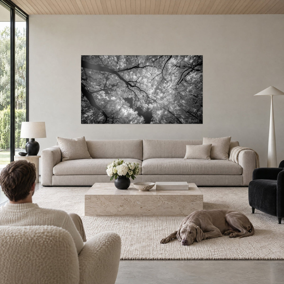 Tableau ginkgo en noir et blanc, branches sombres sur feuillage argenté, un chien gris couché, au-dessus d'un canapé dans un salon lumineux