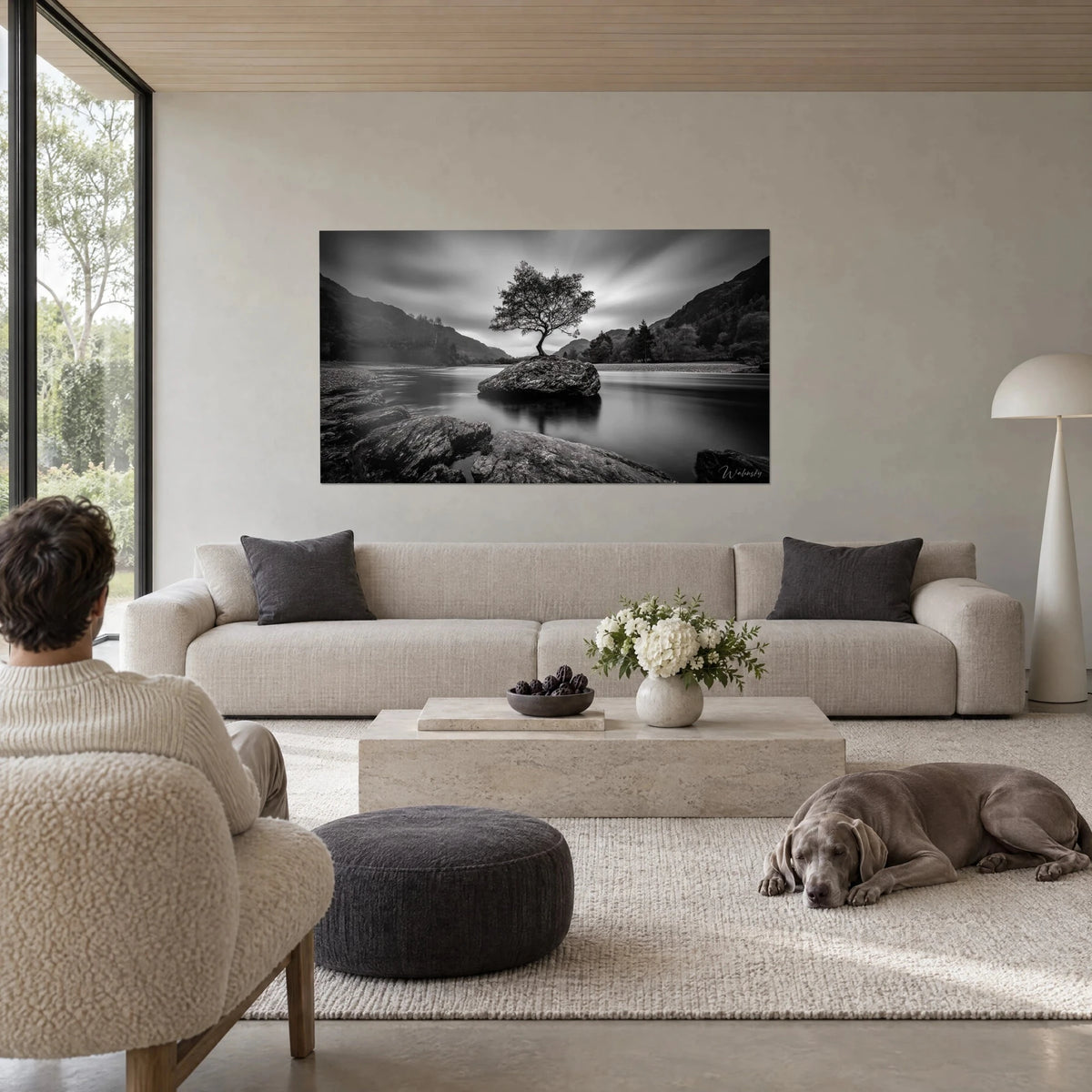 Tableau arbre solitaire en noir et blanc sur rocher, ciel strié de gris, un Weimaraner couché, au-dessus d'un canapé dans un salon lumineux