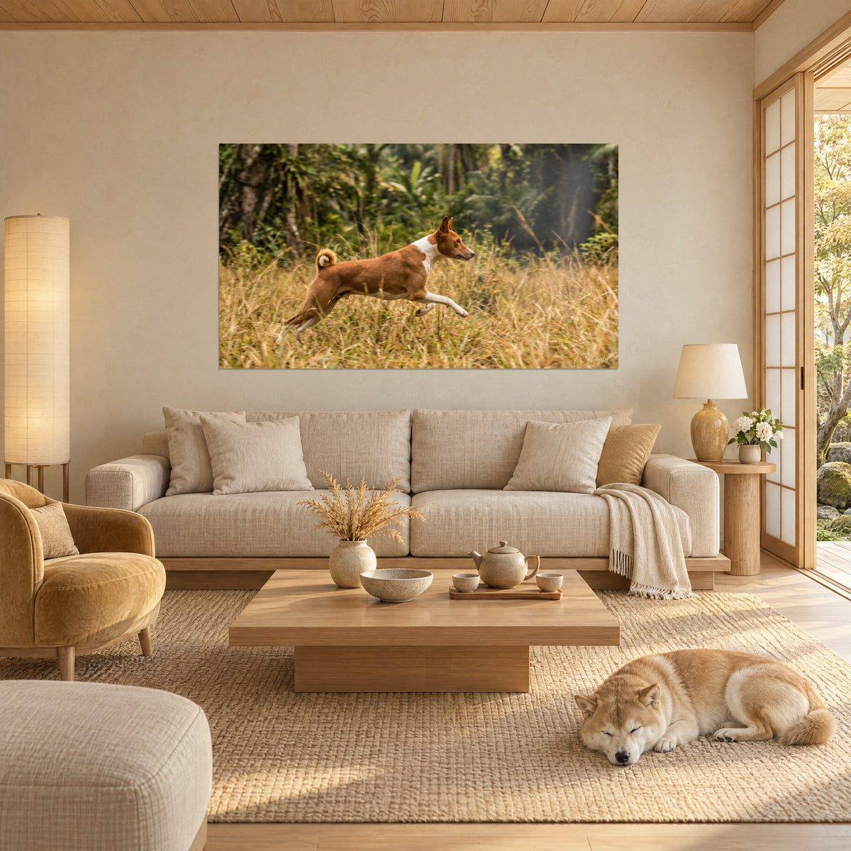Πίνακας basenji κόκκινο και λευκό που τρέχει με πλήρη ταχύτητα μέσα στο χρυσό γρασίδι, πράσινο δάσος, πάνω από έναν καναπέ σε φωτεινό σαλόνι