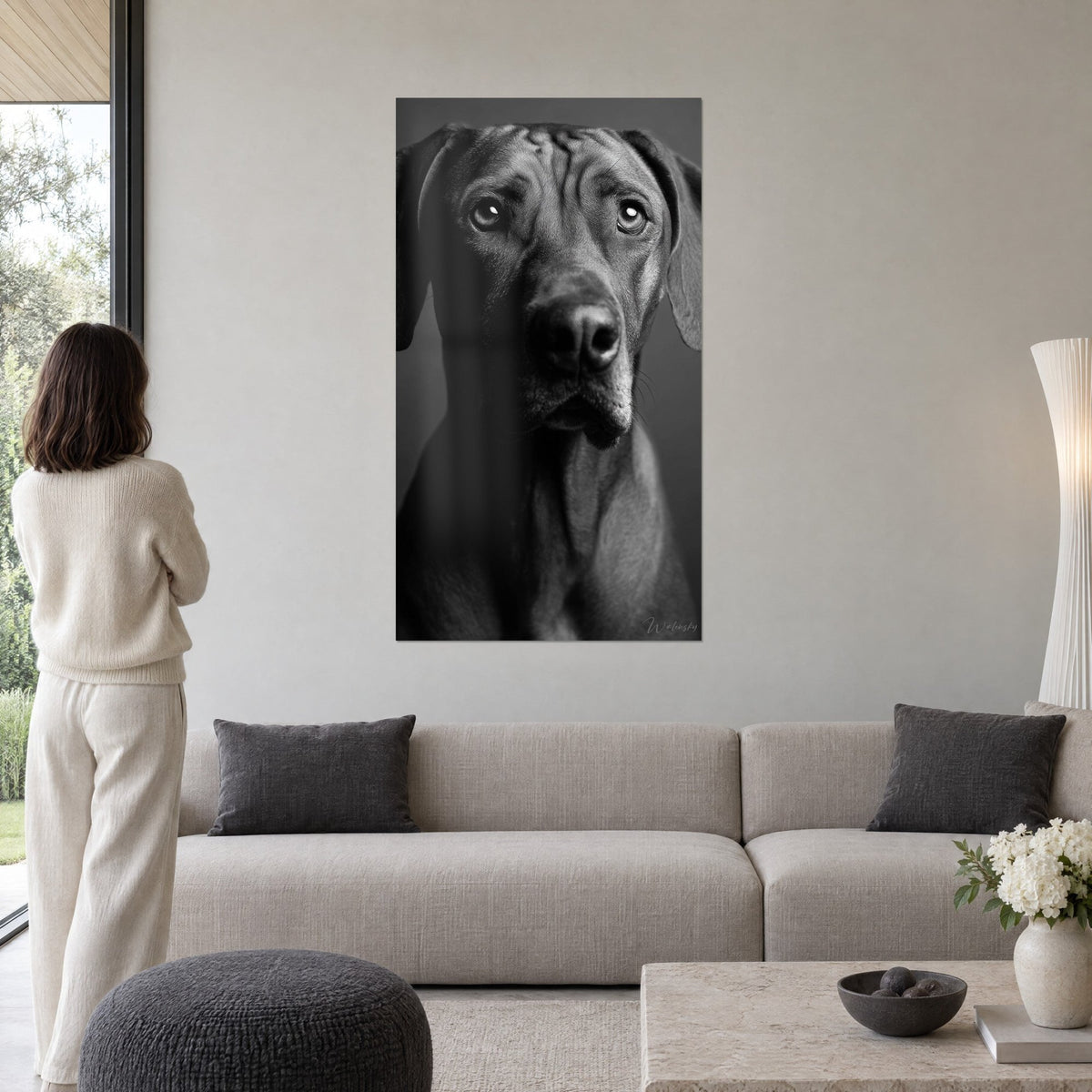 Tableau portrait de chien noir et blanc au regard doux, museau sombre, grises nuances, au-dessus d'un canapé dans un salon lumineux