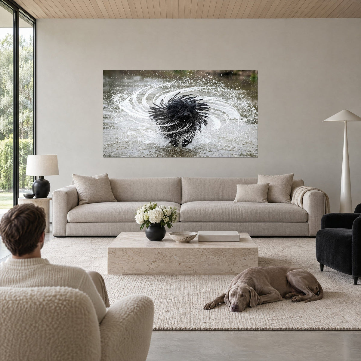Quadro Puli nero dai cordoni arruffati, spruzzi d'acqua grigi a spirale, cane e Weimaraner sopra un divano in un soggiorno luminoso