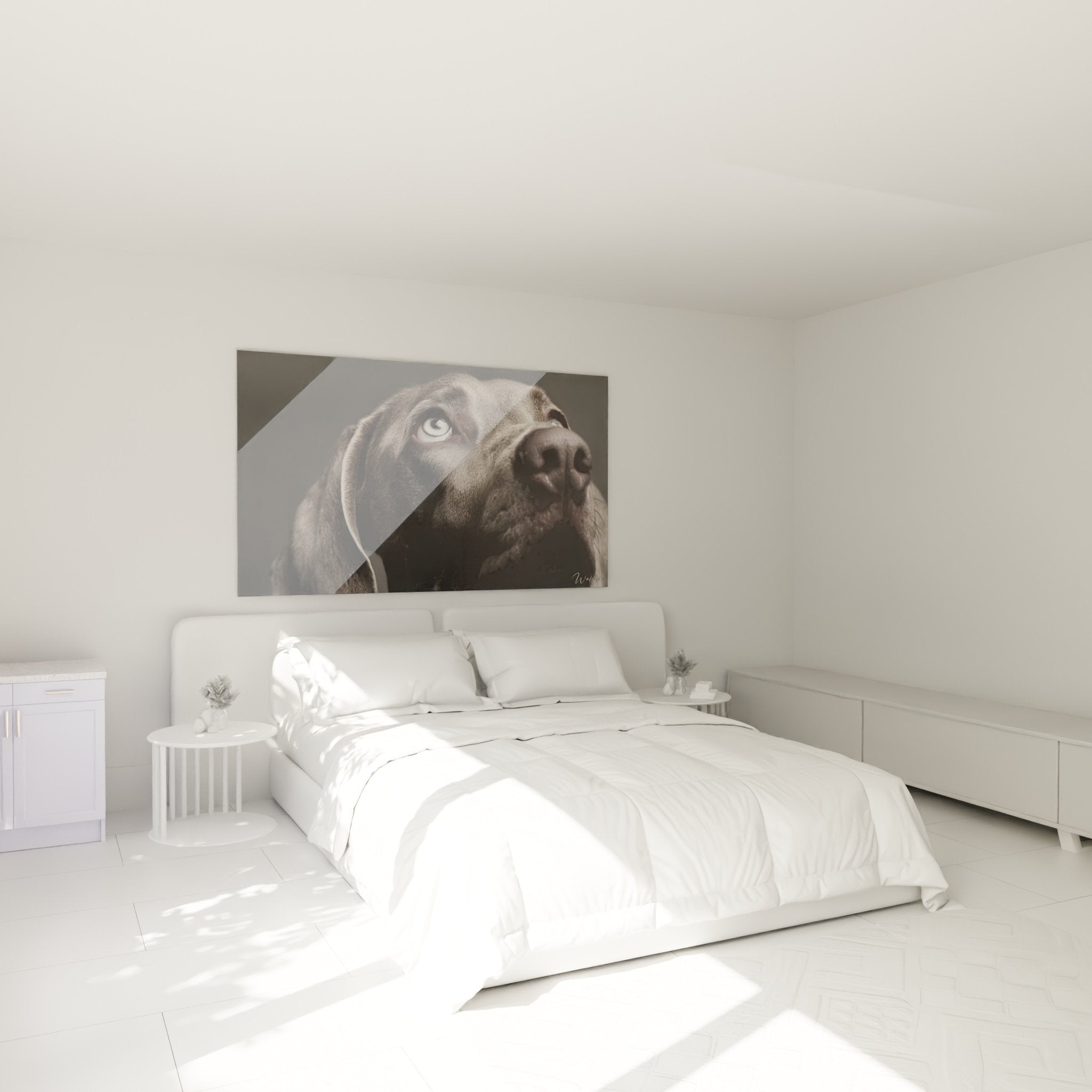Tableau chien weimaraner gris yeux bleus dans chambre moderne murs blancs deco contemporaine