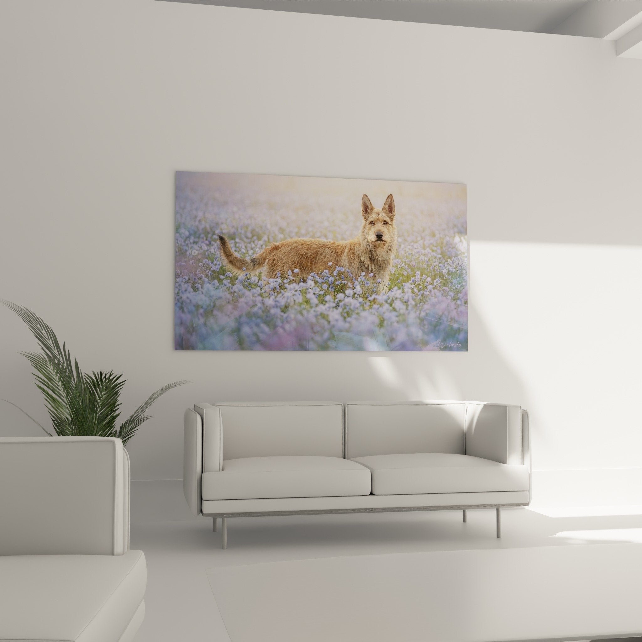 Détail tableau Berger Picard pelage fauve fleurs mauves texture peinture qualité premium