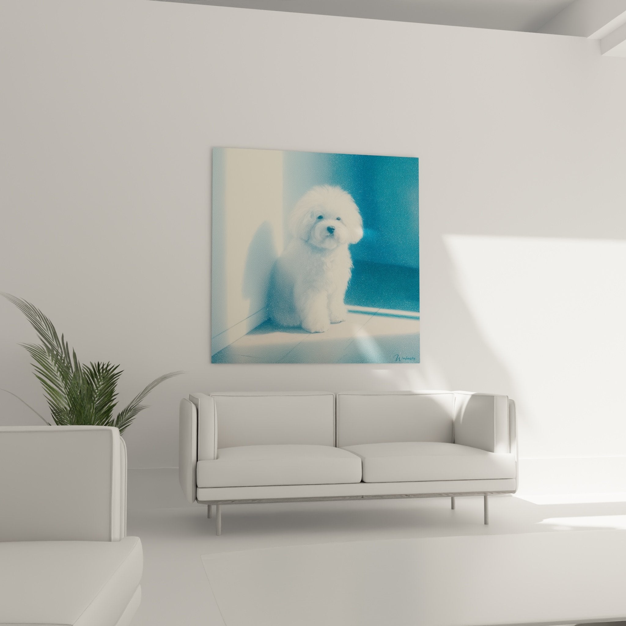 Detail portrait White Bichon Frise silky curly coat blue artistic highlights