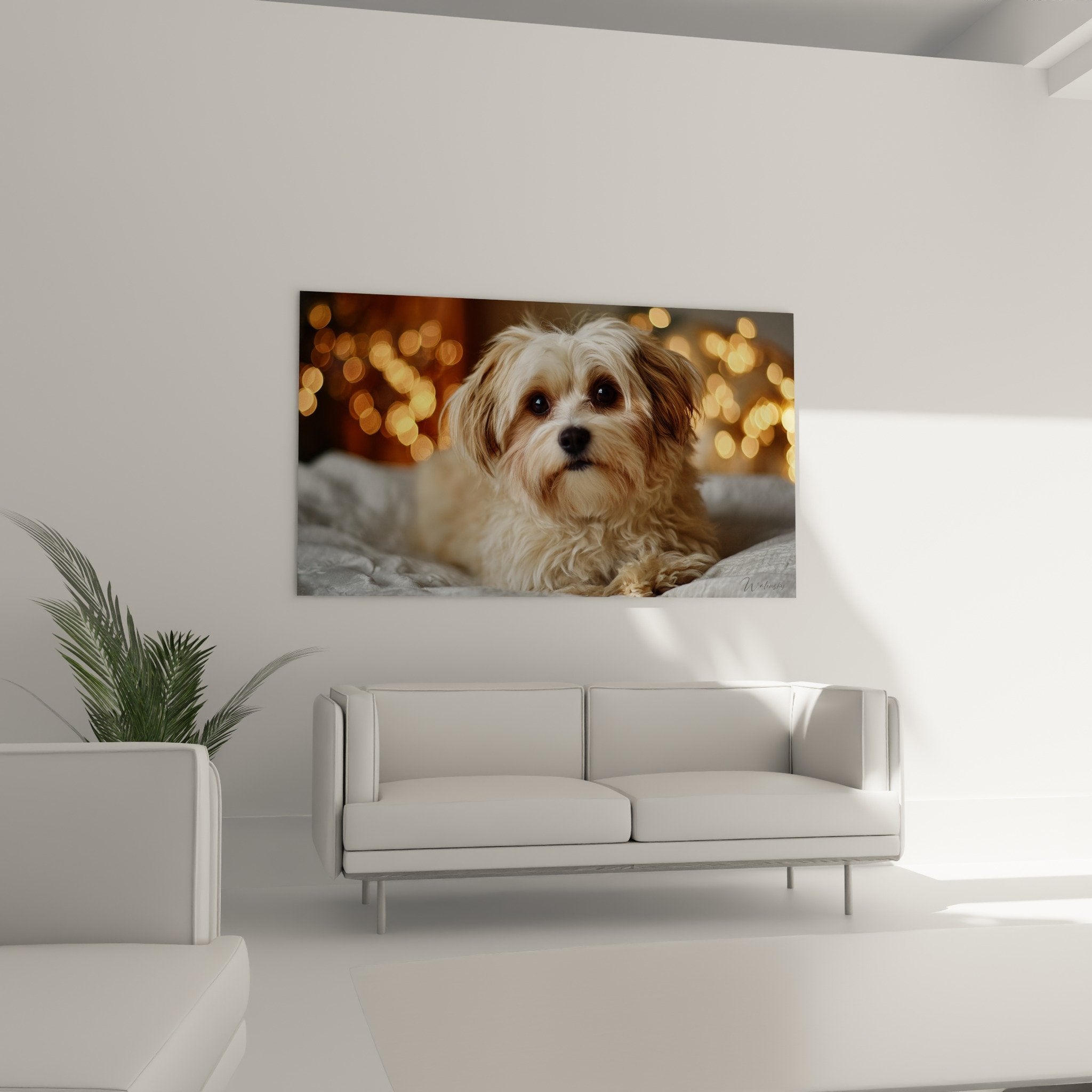 Gros plan sur regard expressif et pelage soyeux blanc beige du Bichon Havanais du tableau