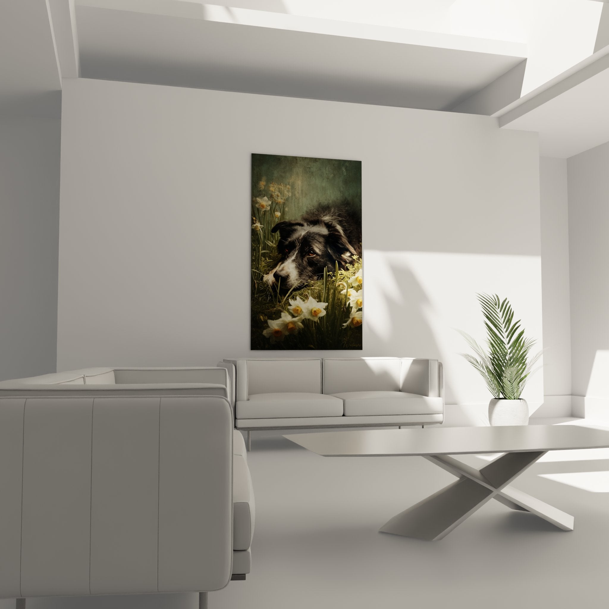 detail border collie yeux ambre pelage noir blanc narcisses petales blancs coeurs dores gros plan artistique