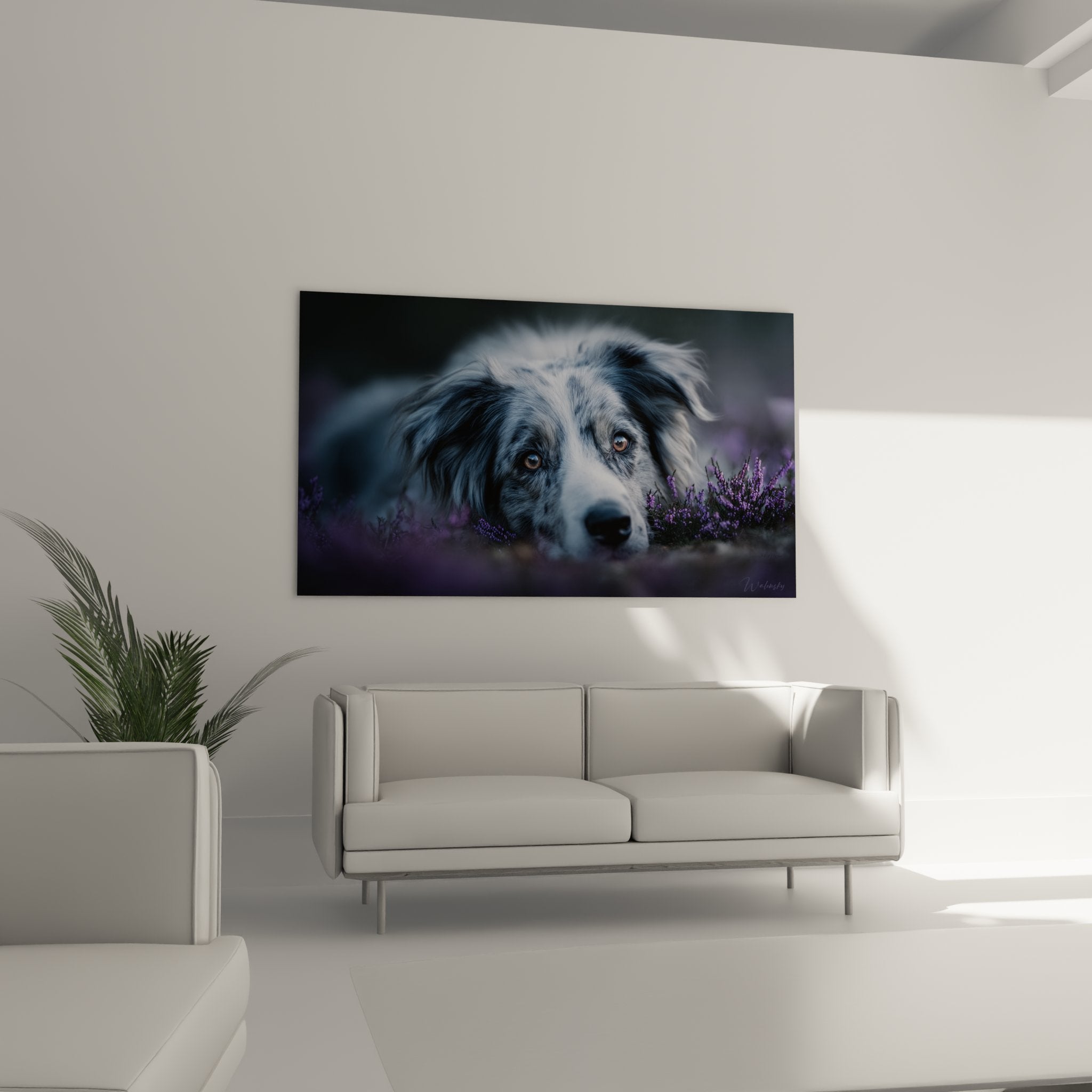 nahaufnahme border collie bernsteinfarbene augen merle fell künstlerisches detail tiertableau