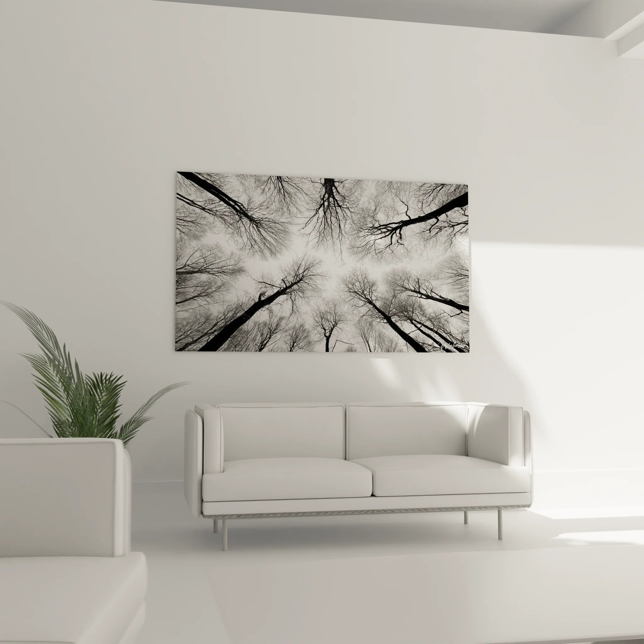 Détail des branches d'arbres entremêlées en noir et blanc créant des motifs graphiques