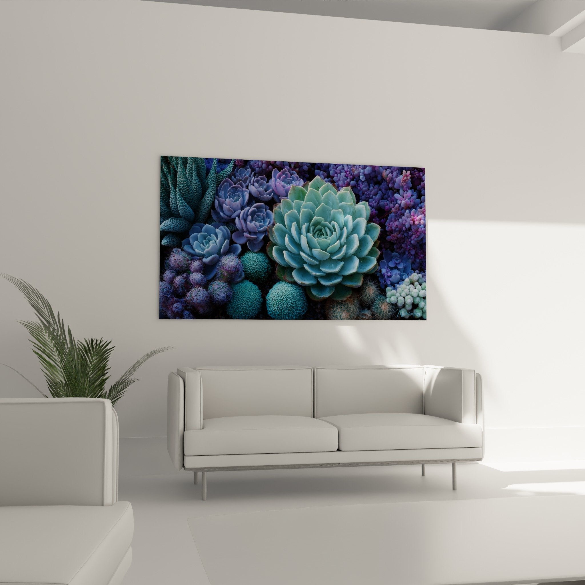 detail rosette cactus bleu turquoise texture nacree forme geometrique naturelle plante grasse premium