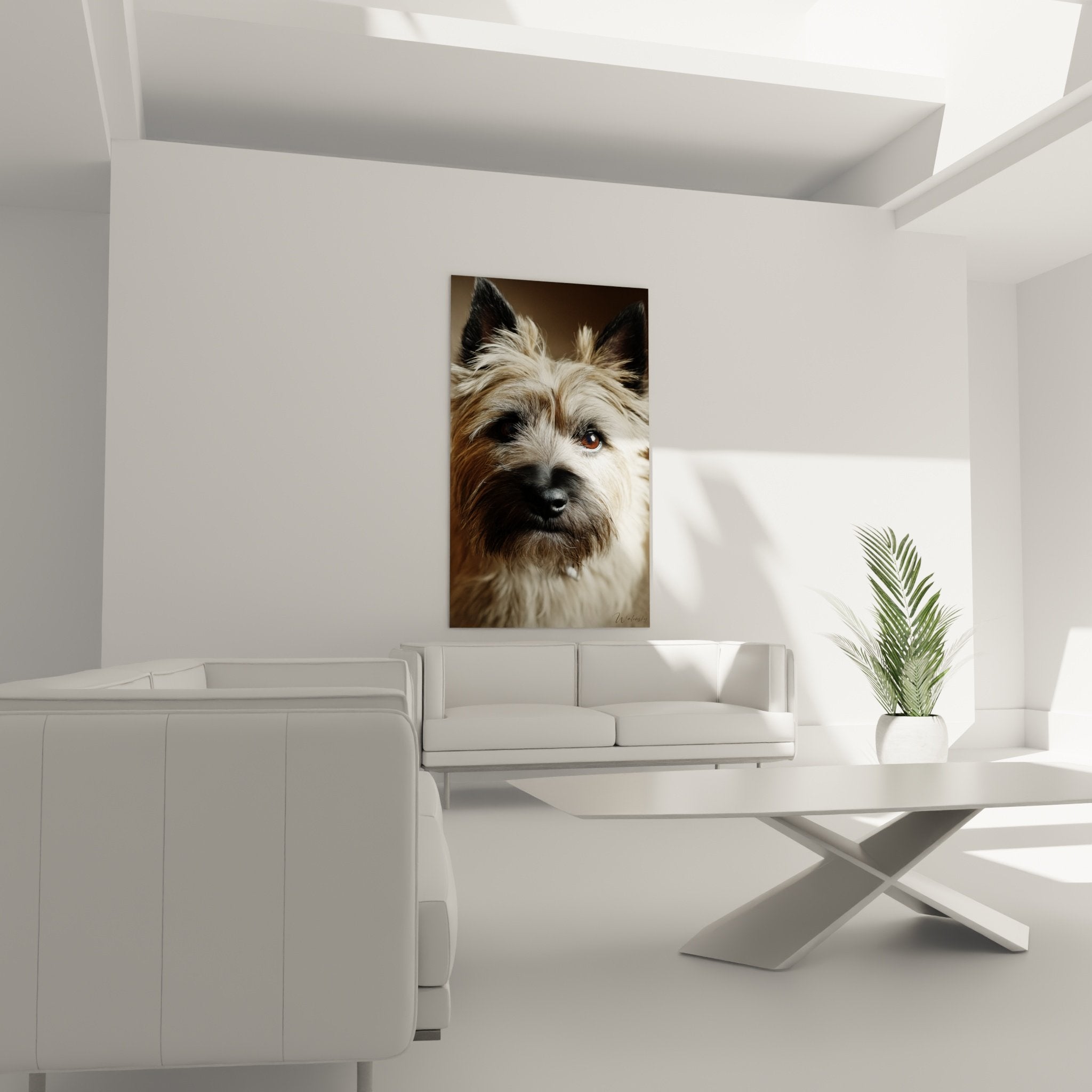 Détail portrait Cairn Terrier yeux couleur miel pelage soyeux beige brun texture réaliste chien écossais
