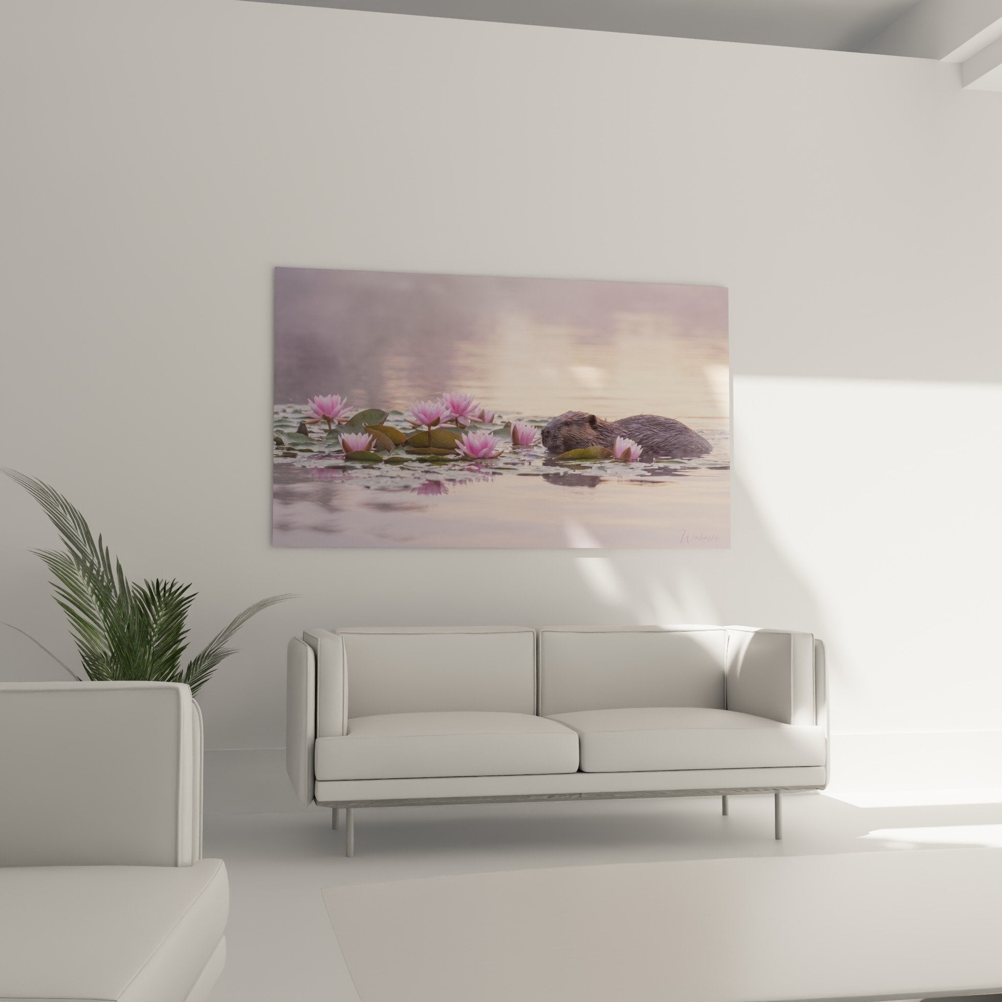 Brown beaver fur detail pink water lilies delicate petals aquatic reflections golden light twilight