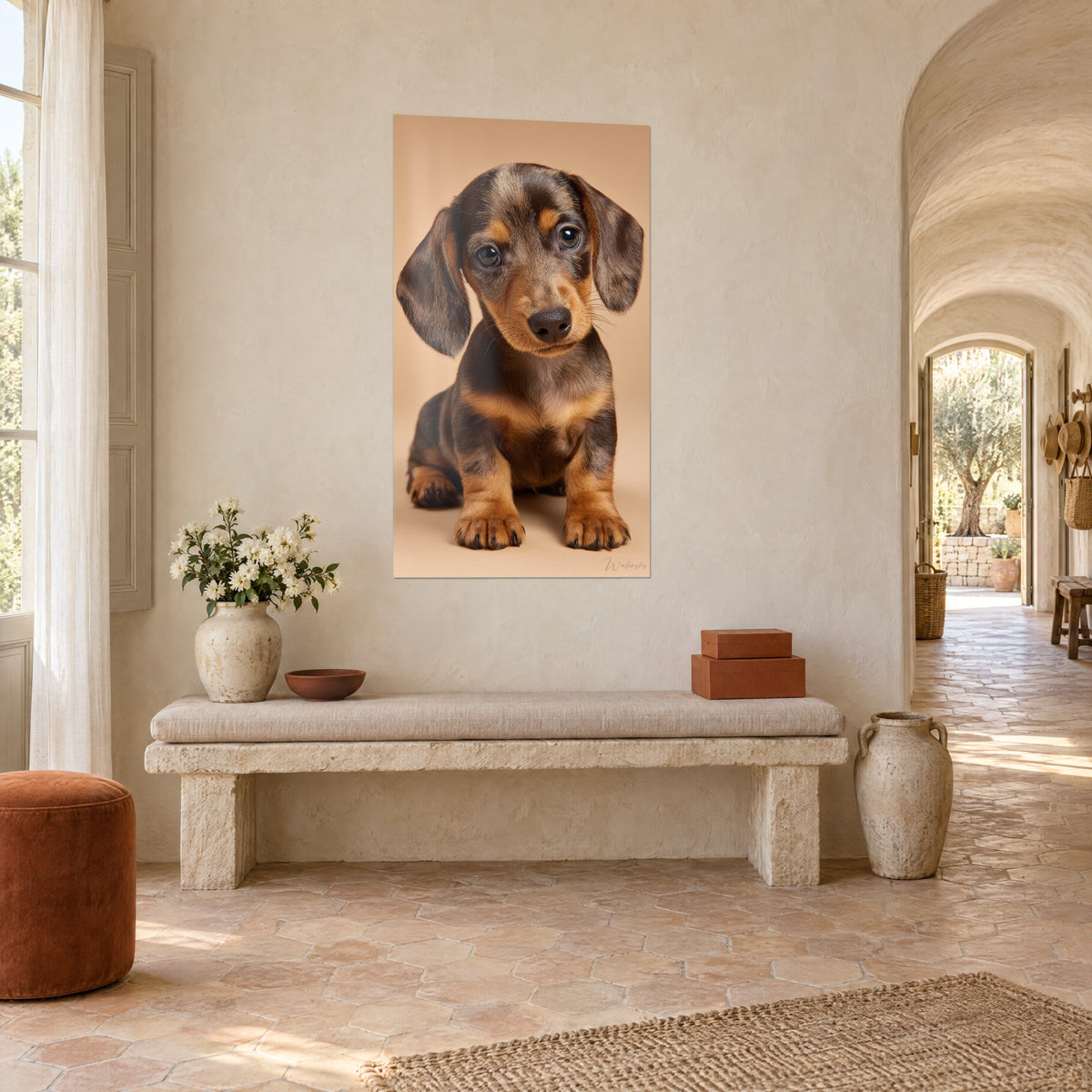 Cuadro pequeño basset de orejas caídas en marrón chocolate y cobre, hocico negro, sobre una pared encalada de un mas provenzal